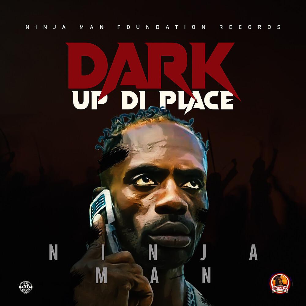 Постер альбома Dark Up Di Place