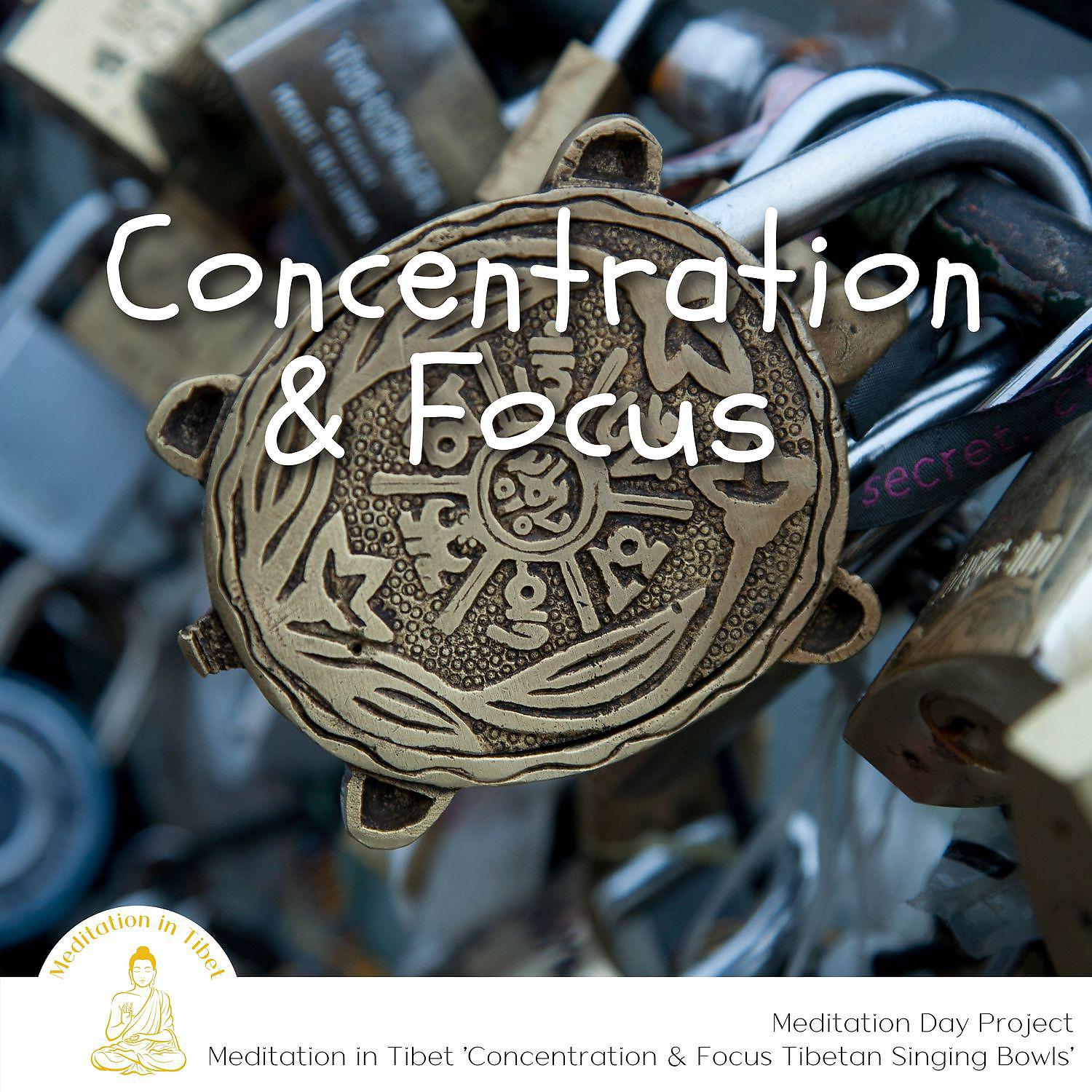 Постер альбома Concentration & Focus Tibetan Singing Bowls