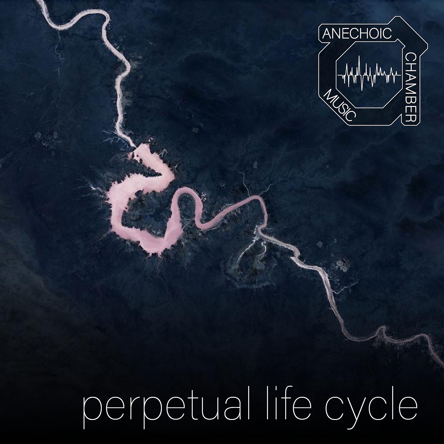 Постер альбома Perpetual Life Cycle