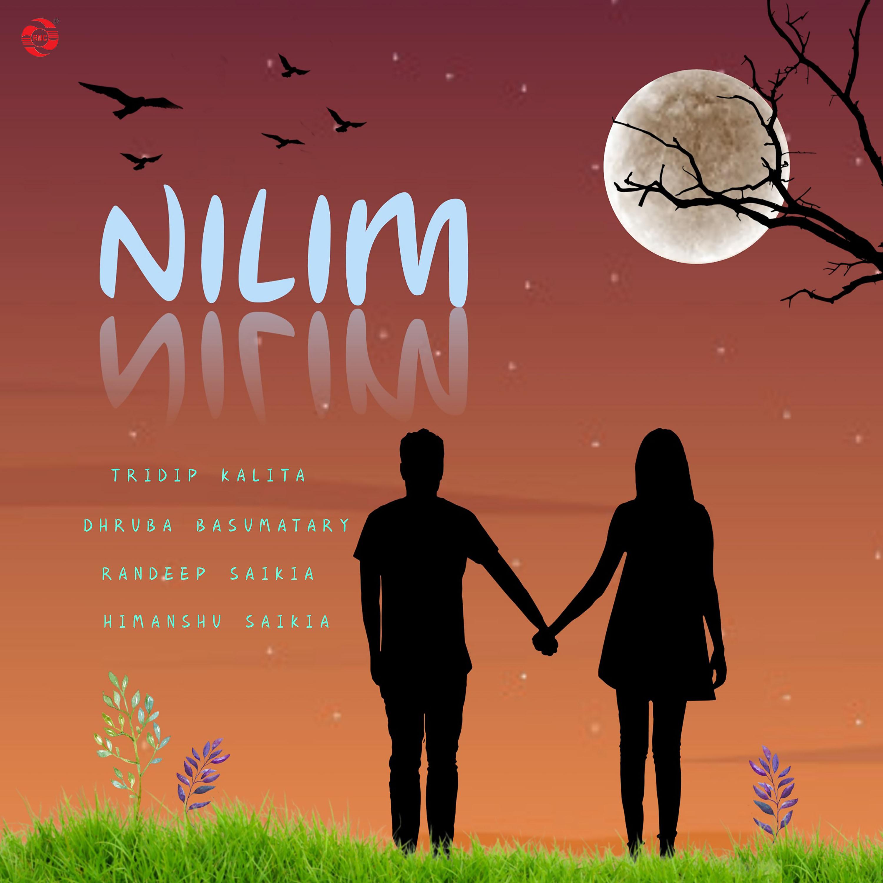 Постер альбома Nilim