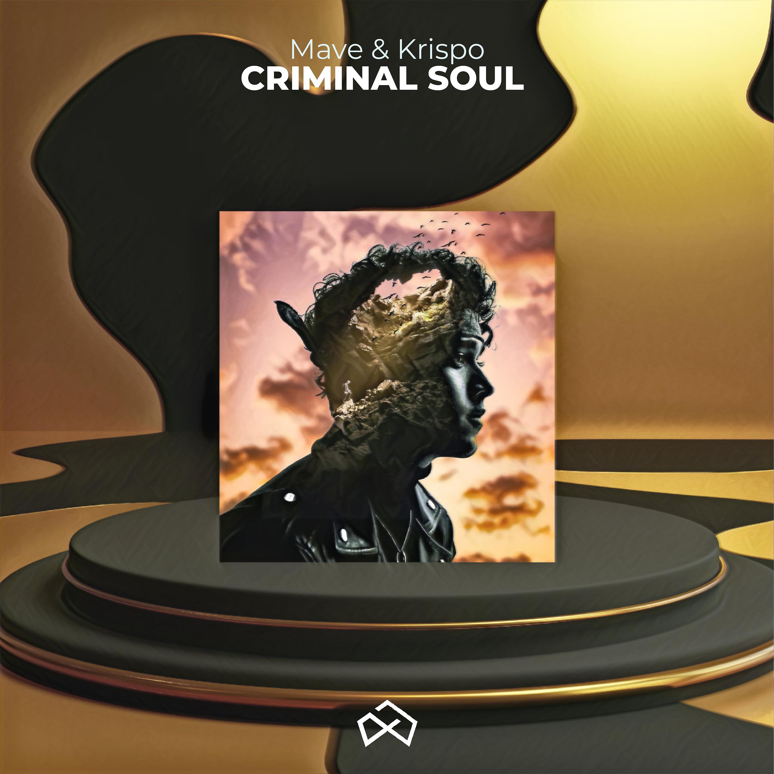 Постер альбома Criminal Soul