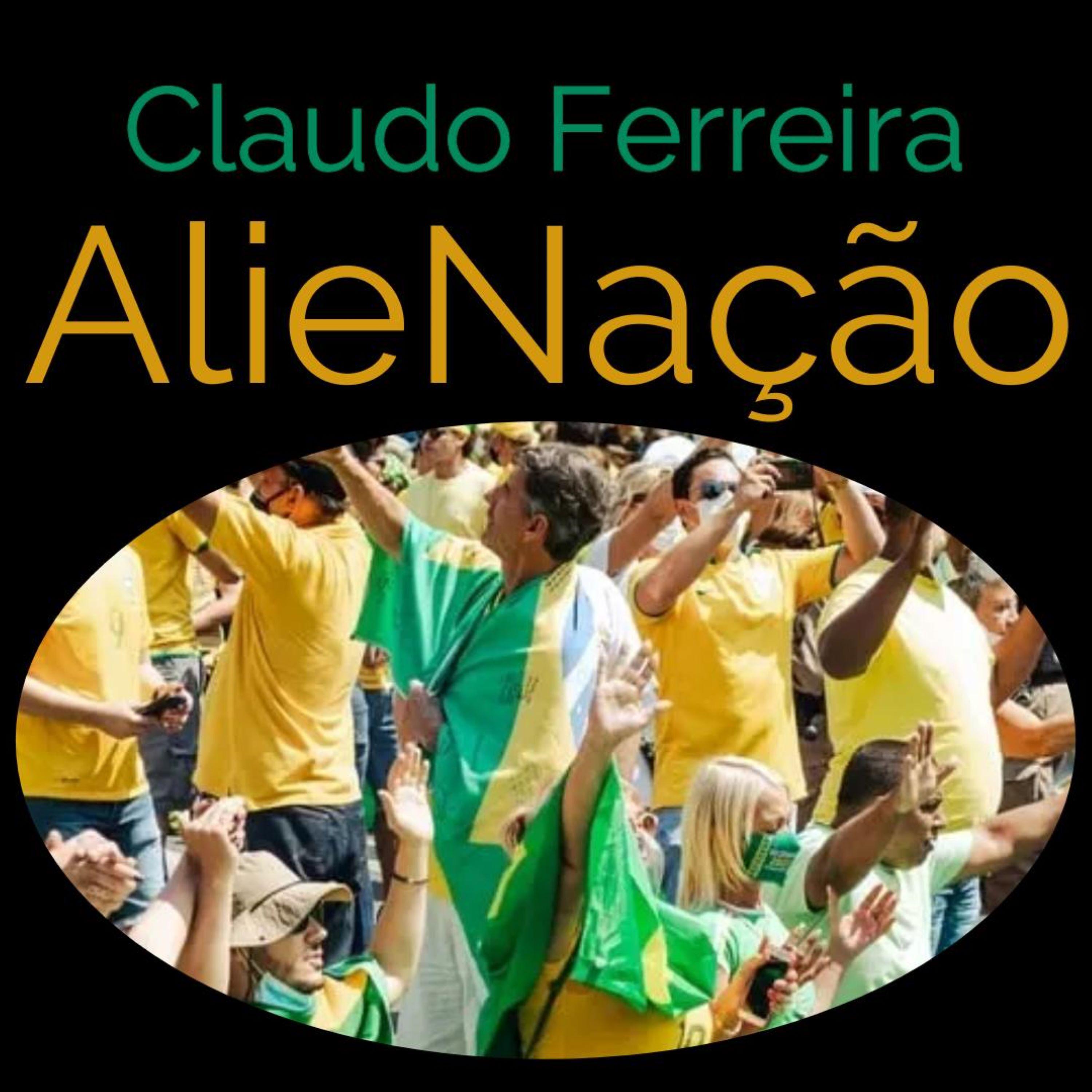 Постер альбома Alienação