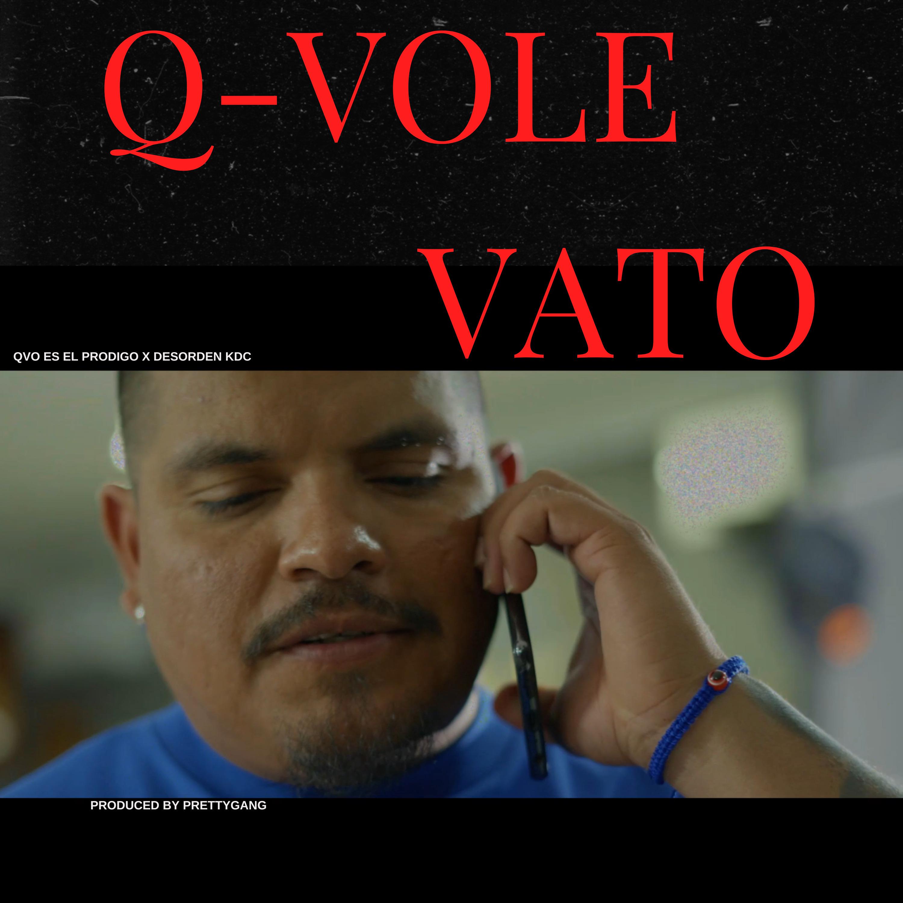 Постер альбома Q-Vole Vato
