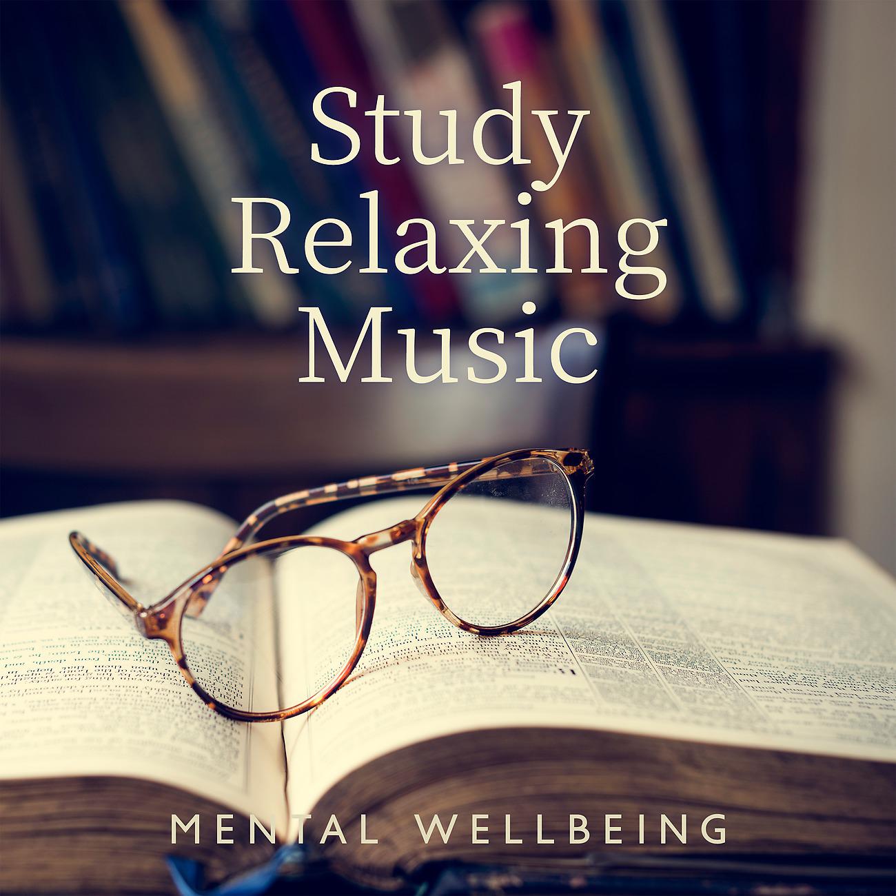 Постер альбома Study Relaxing Music