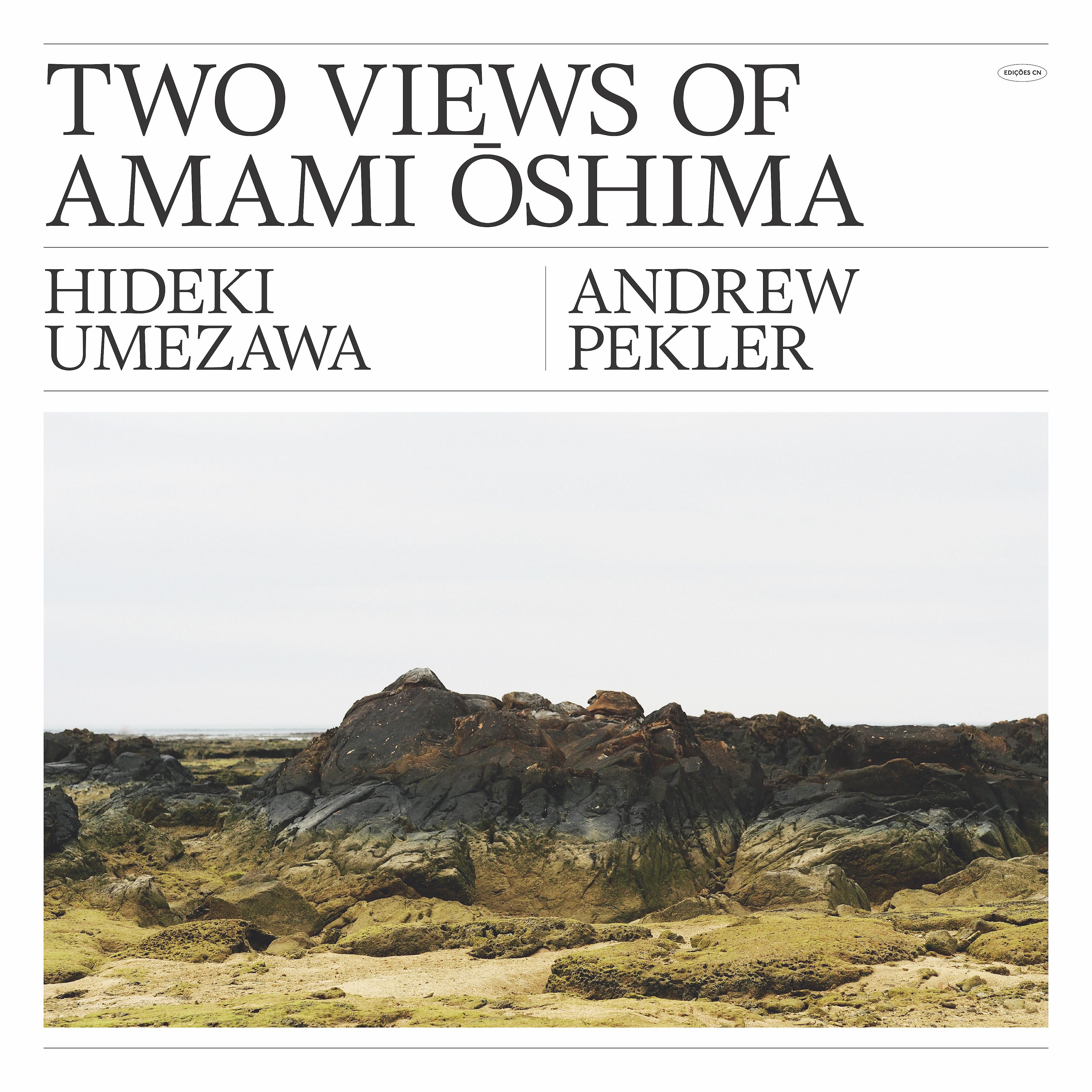 Постер альбома Two Views Of Amami Oshima