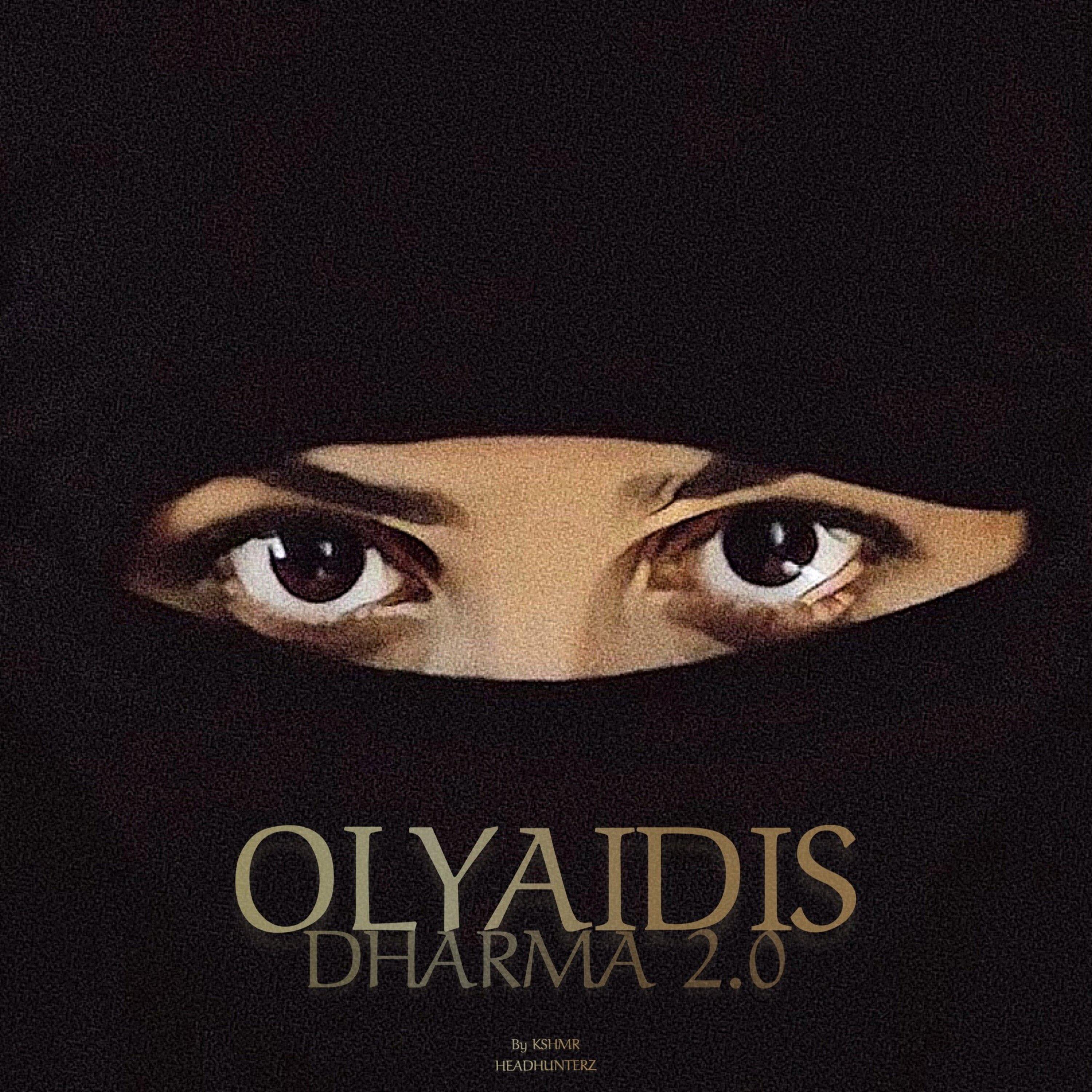Постер альбома DHARMA 2.0