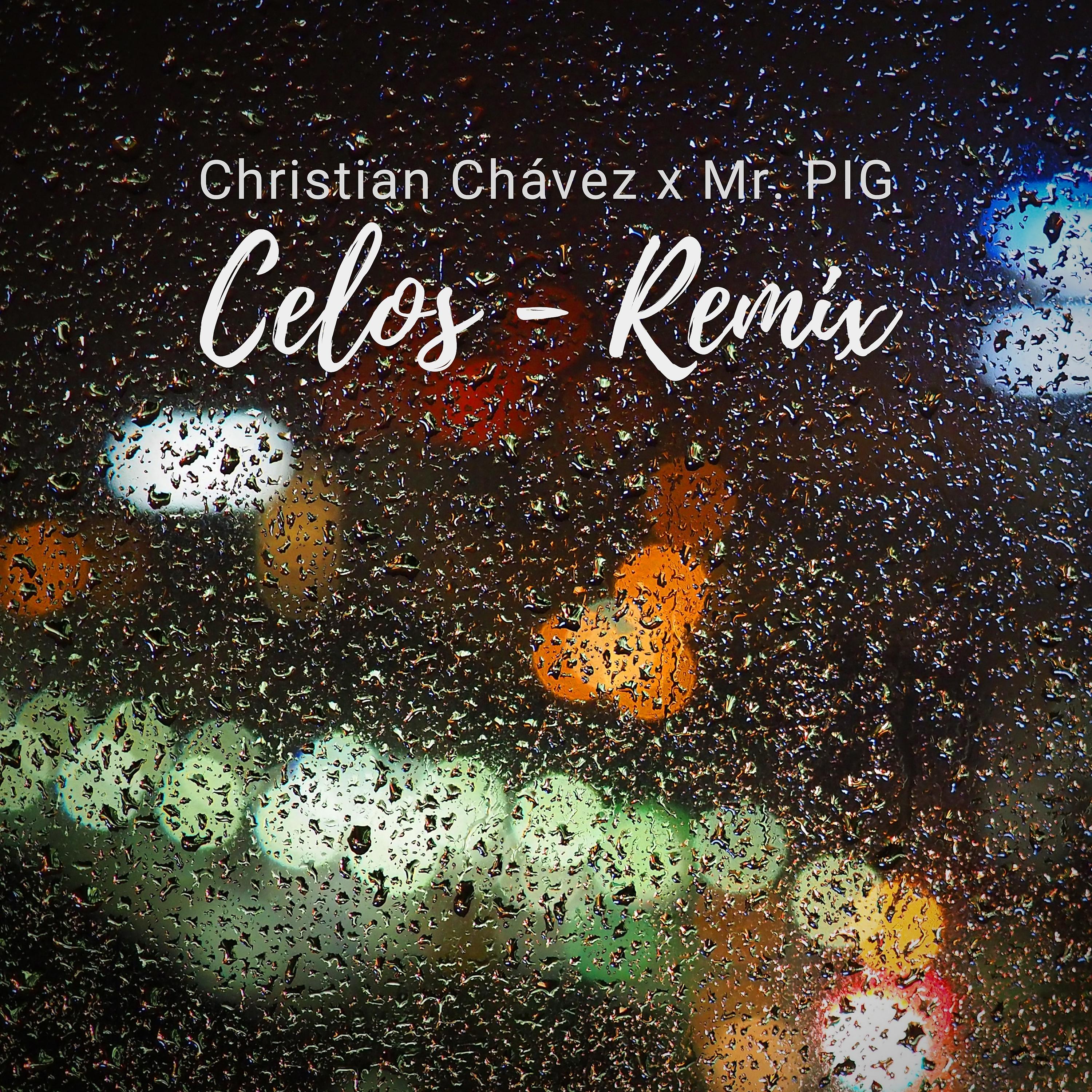 Постер альбома Celos (Mr. Pig Remix)