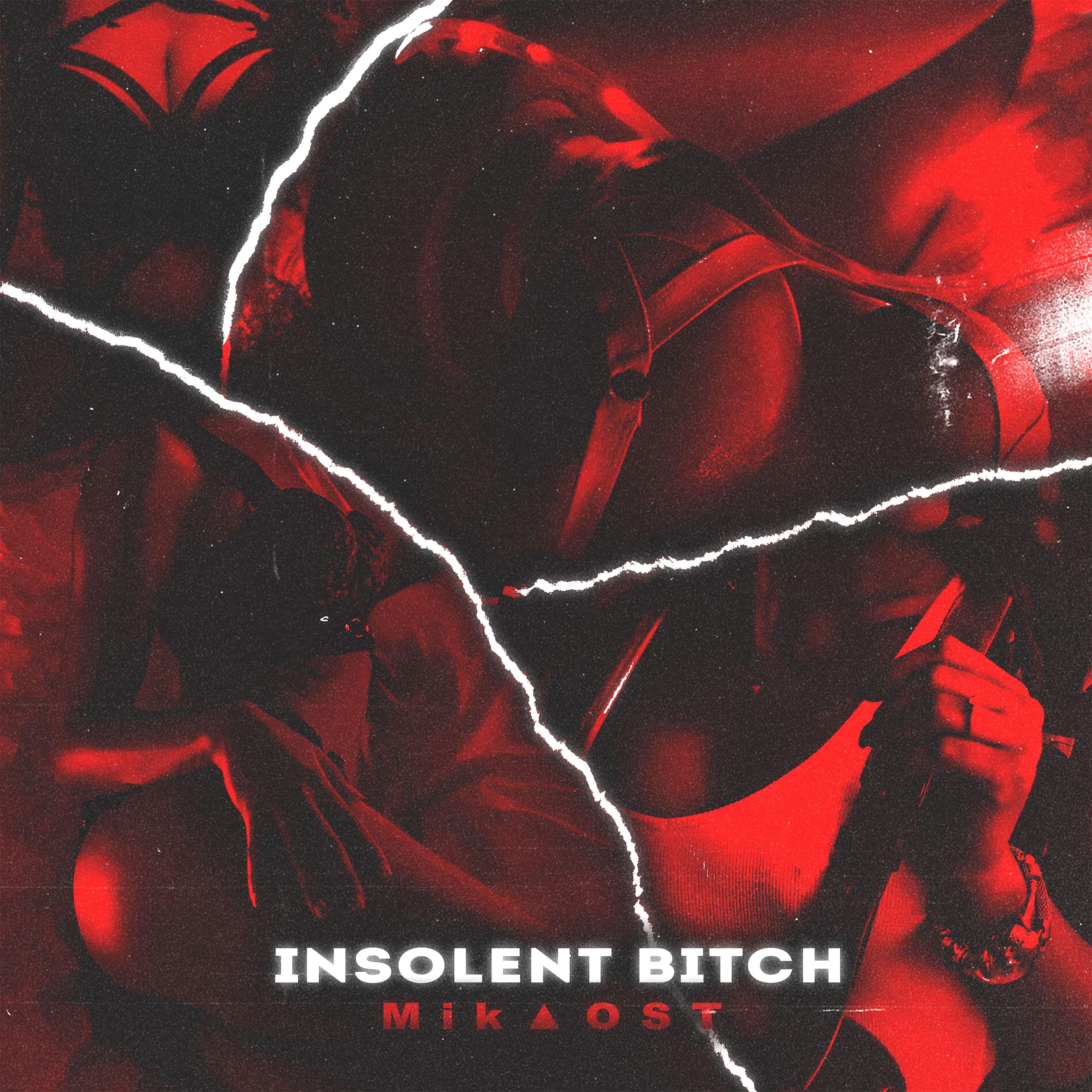 Постер альбома Insolent Bitch