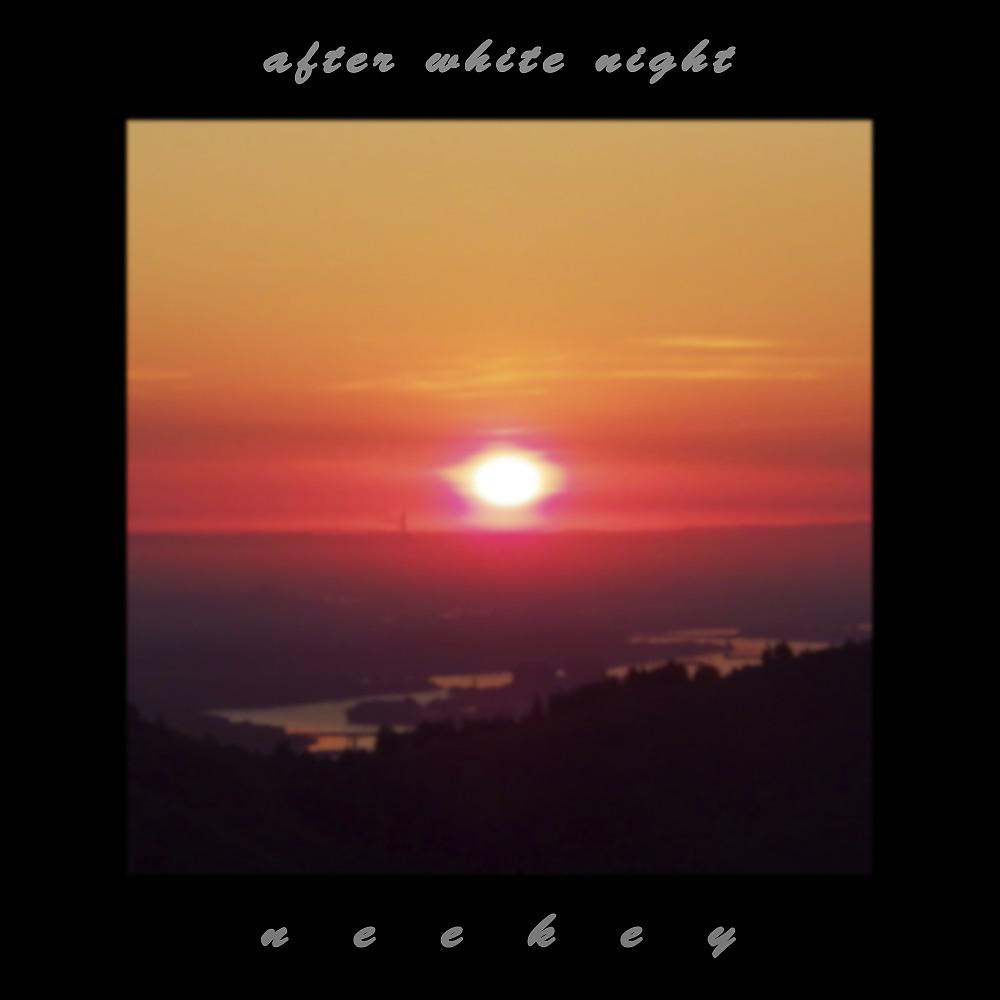 Постер альбома Белая ночь