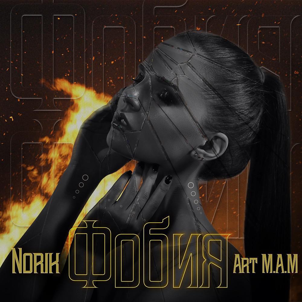 Постер альбома Norik