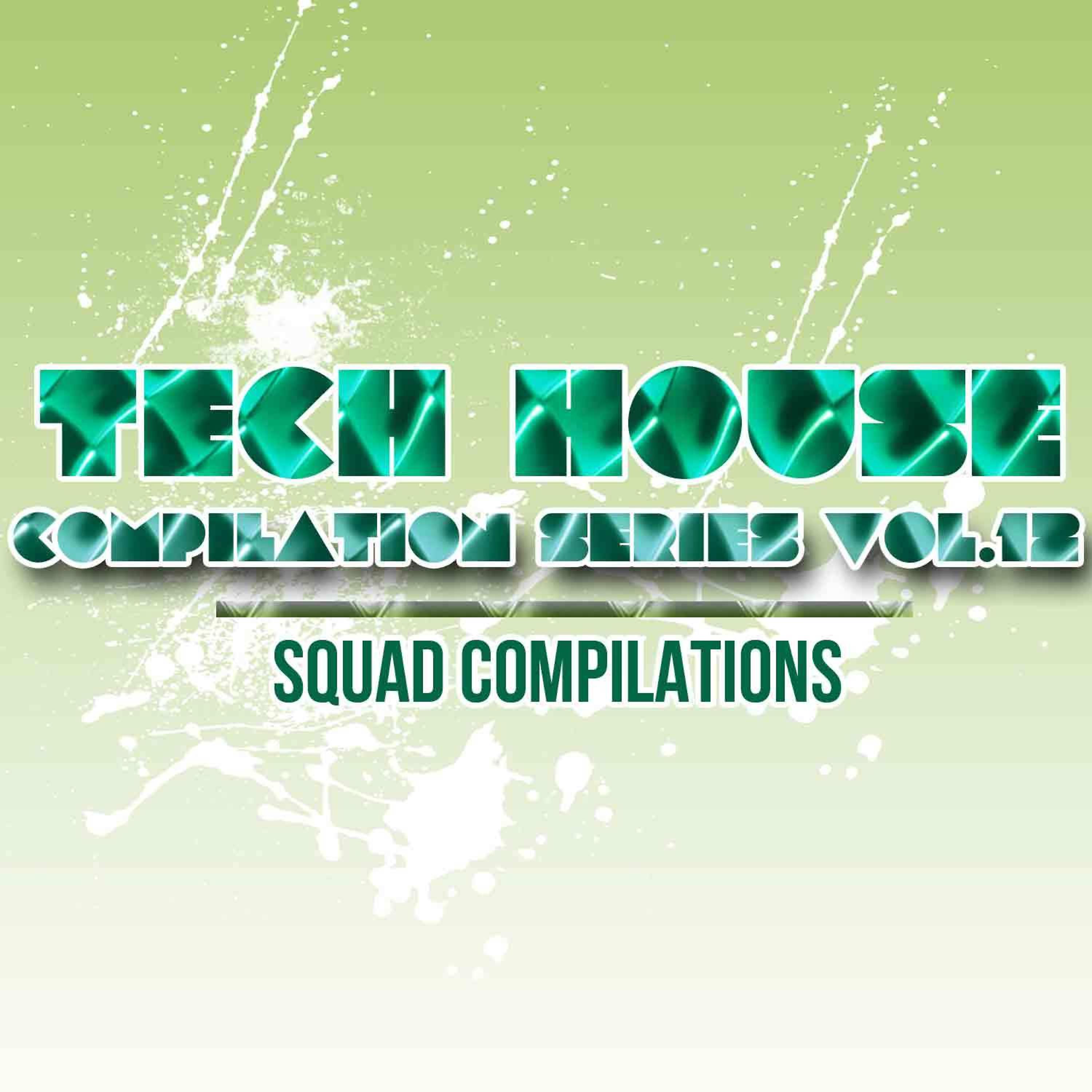 Постер альбома Tech House Compilation Series Vol. 12