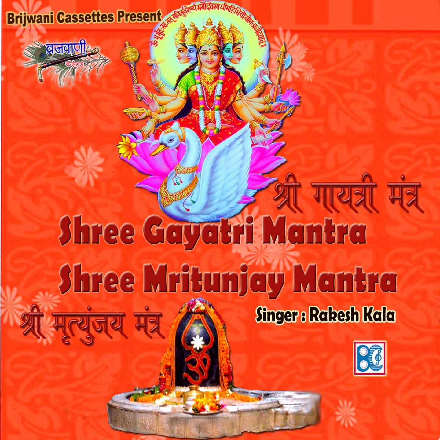Постер альбома Shree Gayatri Mantra Shree Mritunjay Mantra