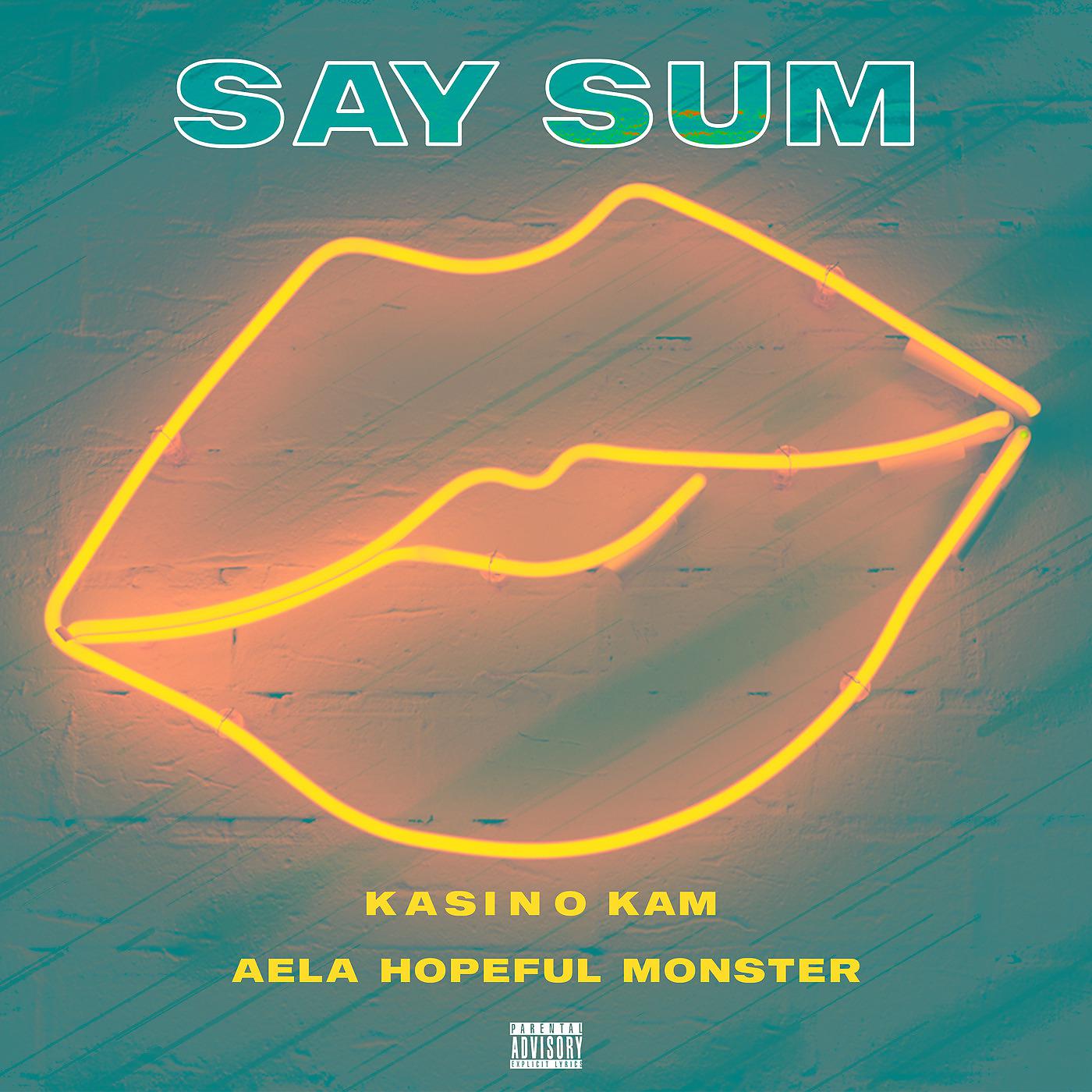 Постер альбома Say Sum