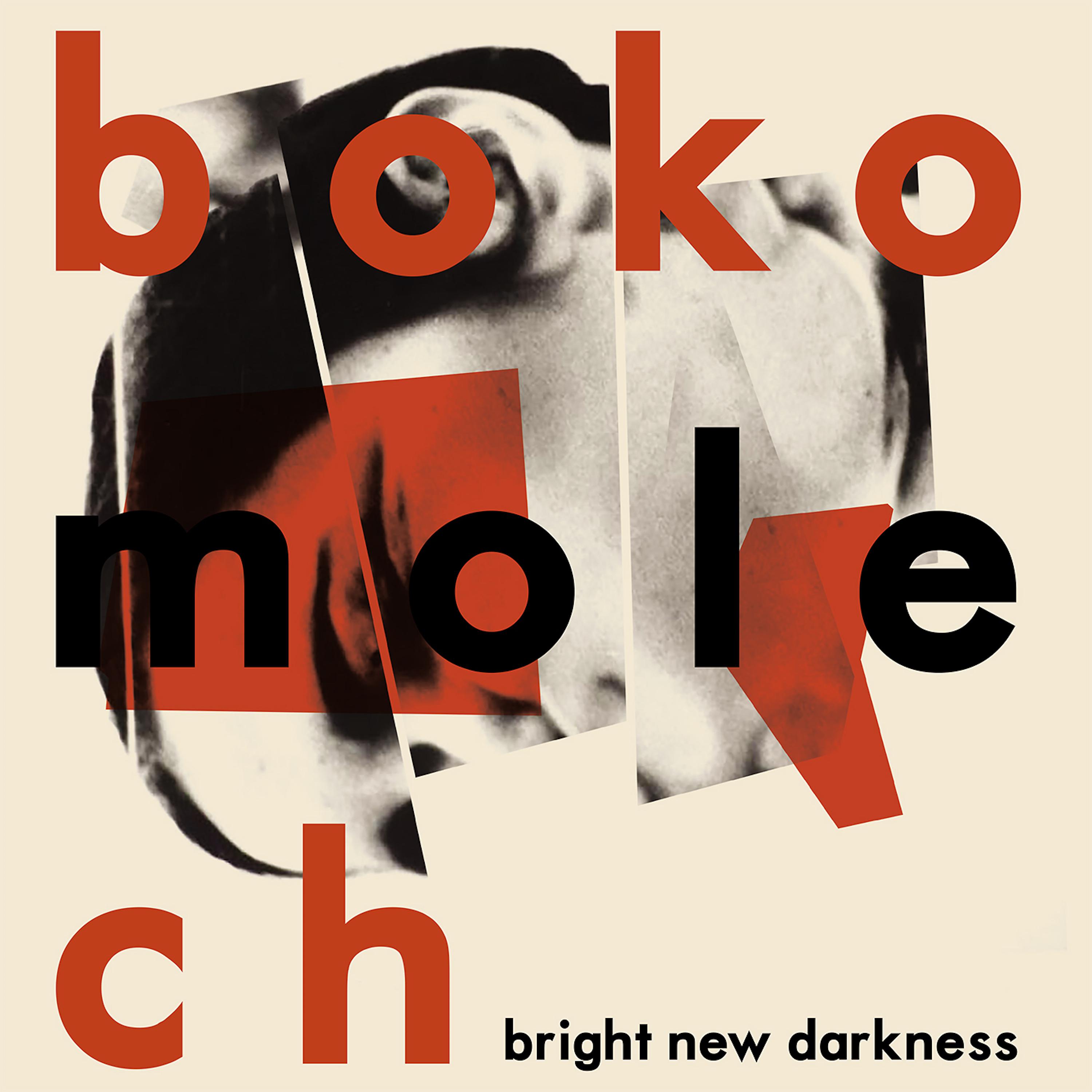 Постер альбома Bright New Darkness