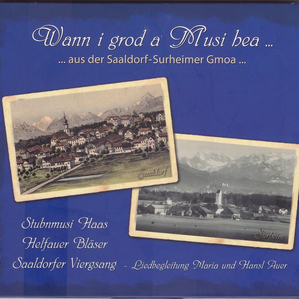 Постер альбома Wann i grod a Musi hea: Aus der Saaldorf Surheimer Gmoa