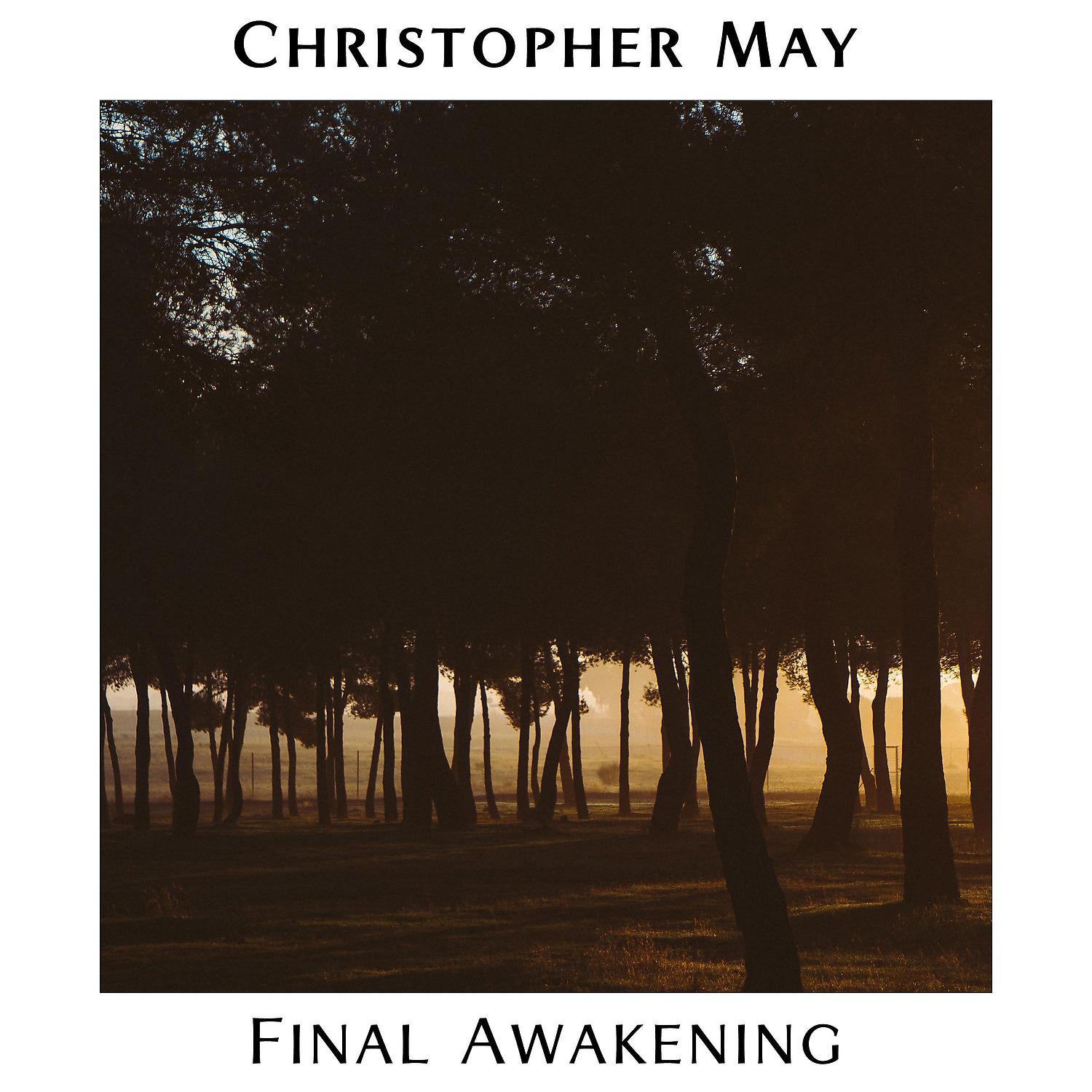 Постер альбома Final Awakening
