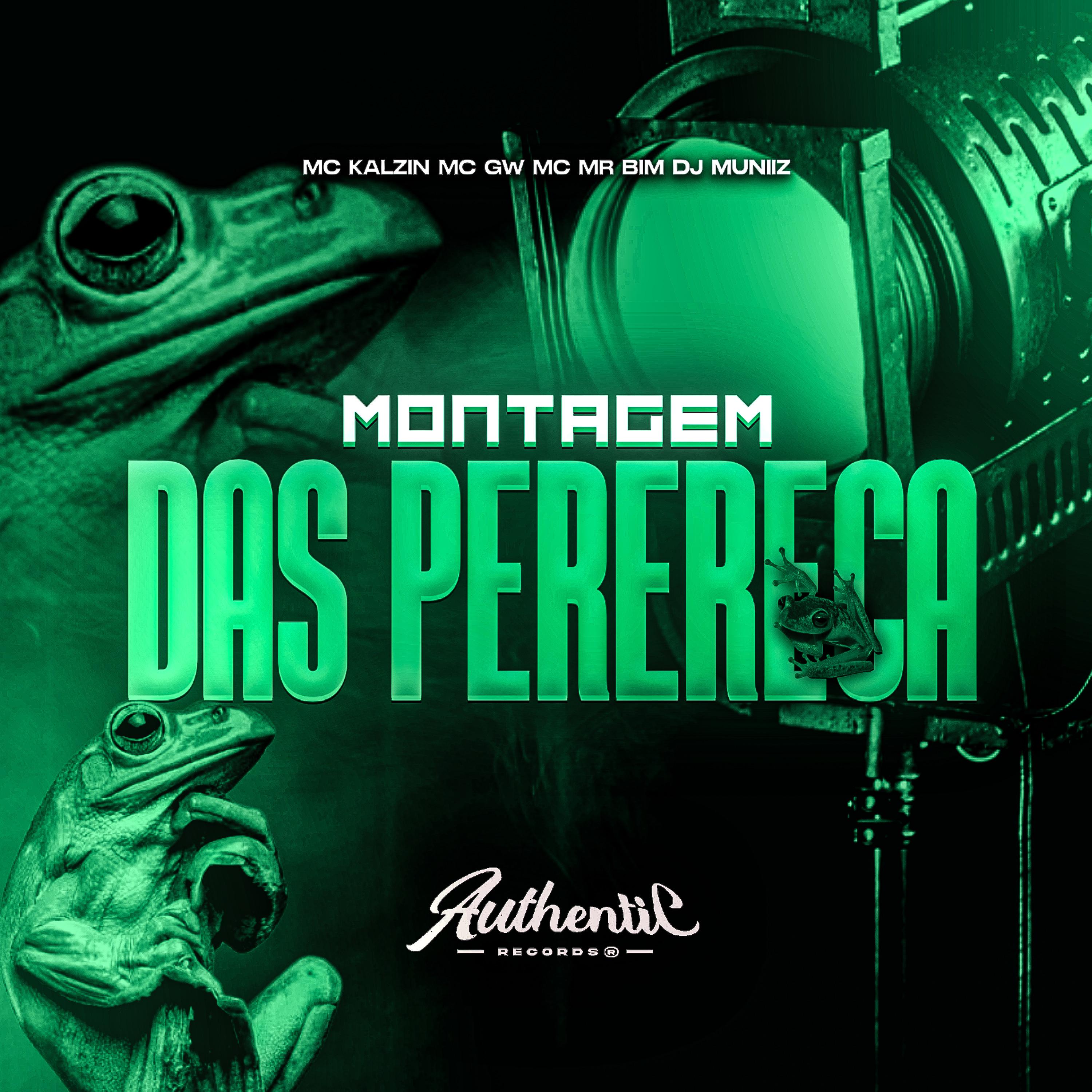 Постер альбома Montagem das Perereca