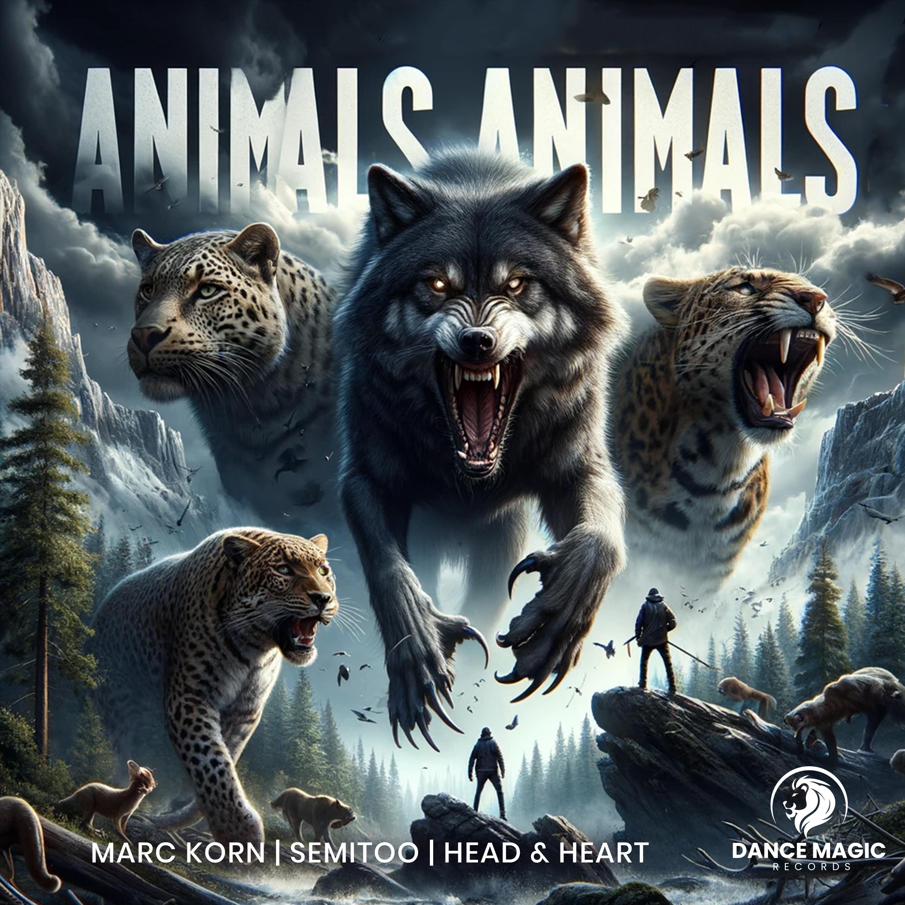 Постер альбома Animals Animals
