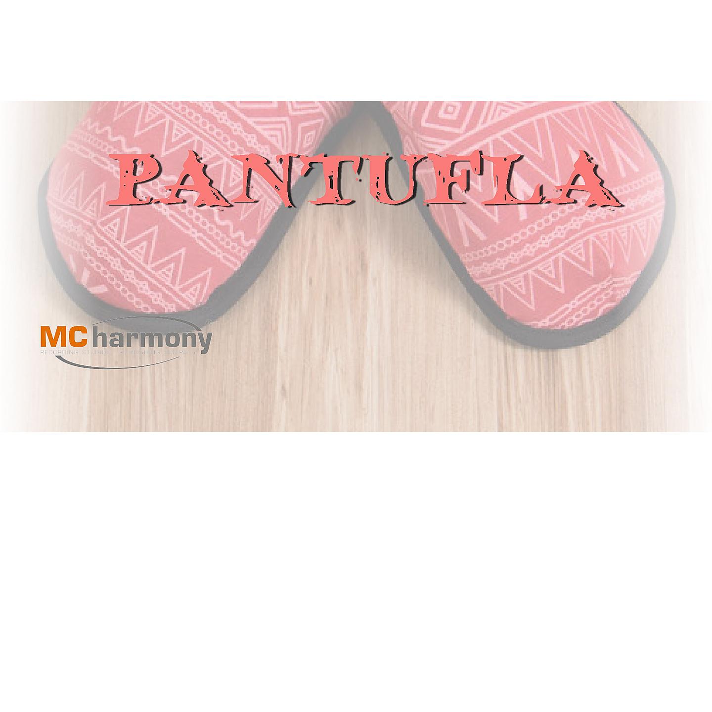 Постер альбома Pantufla