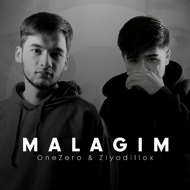Постер альбома Malagim