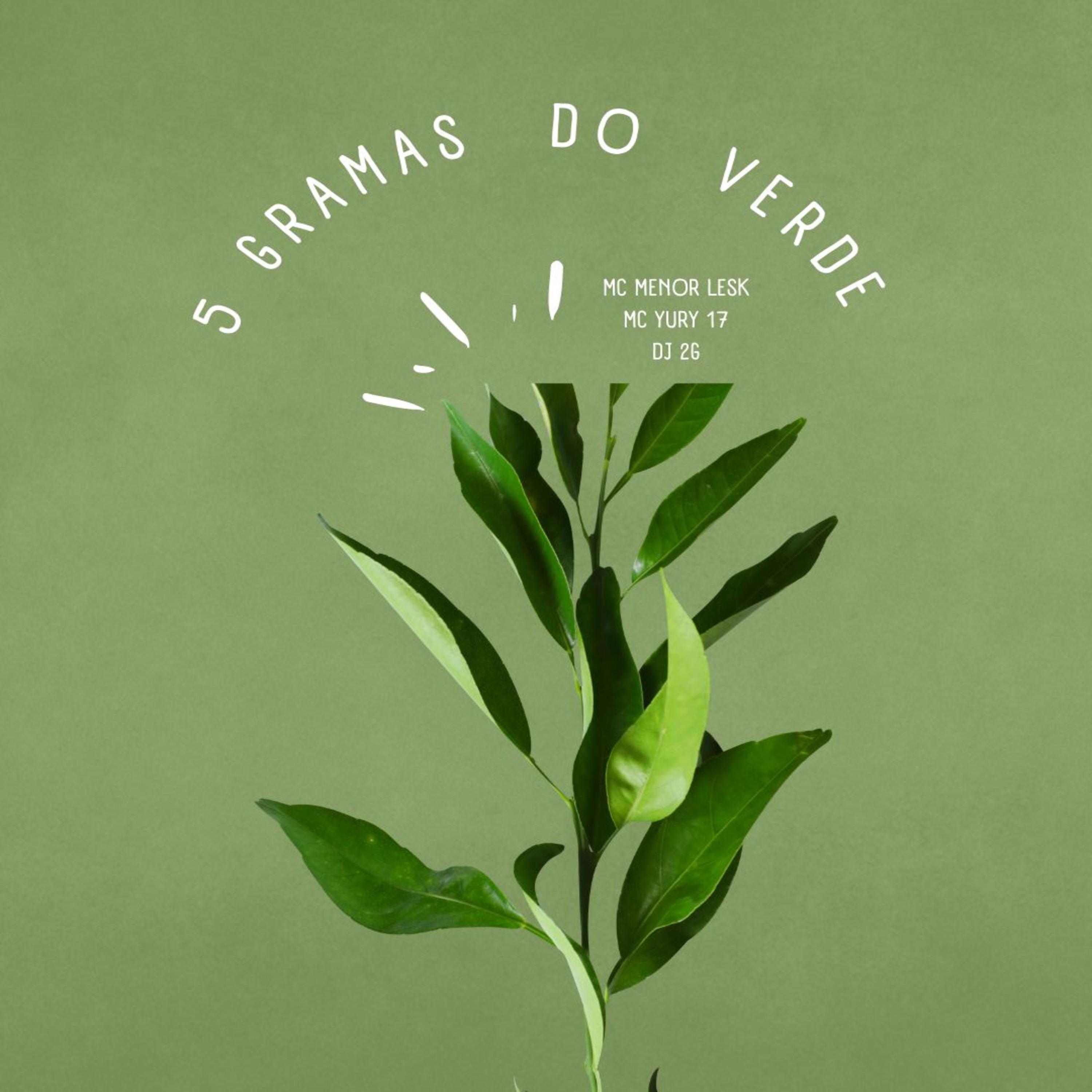 Постер альбома 5 Gramas do Verde