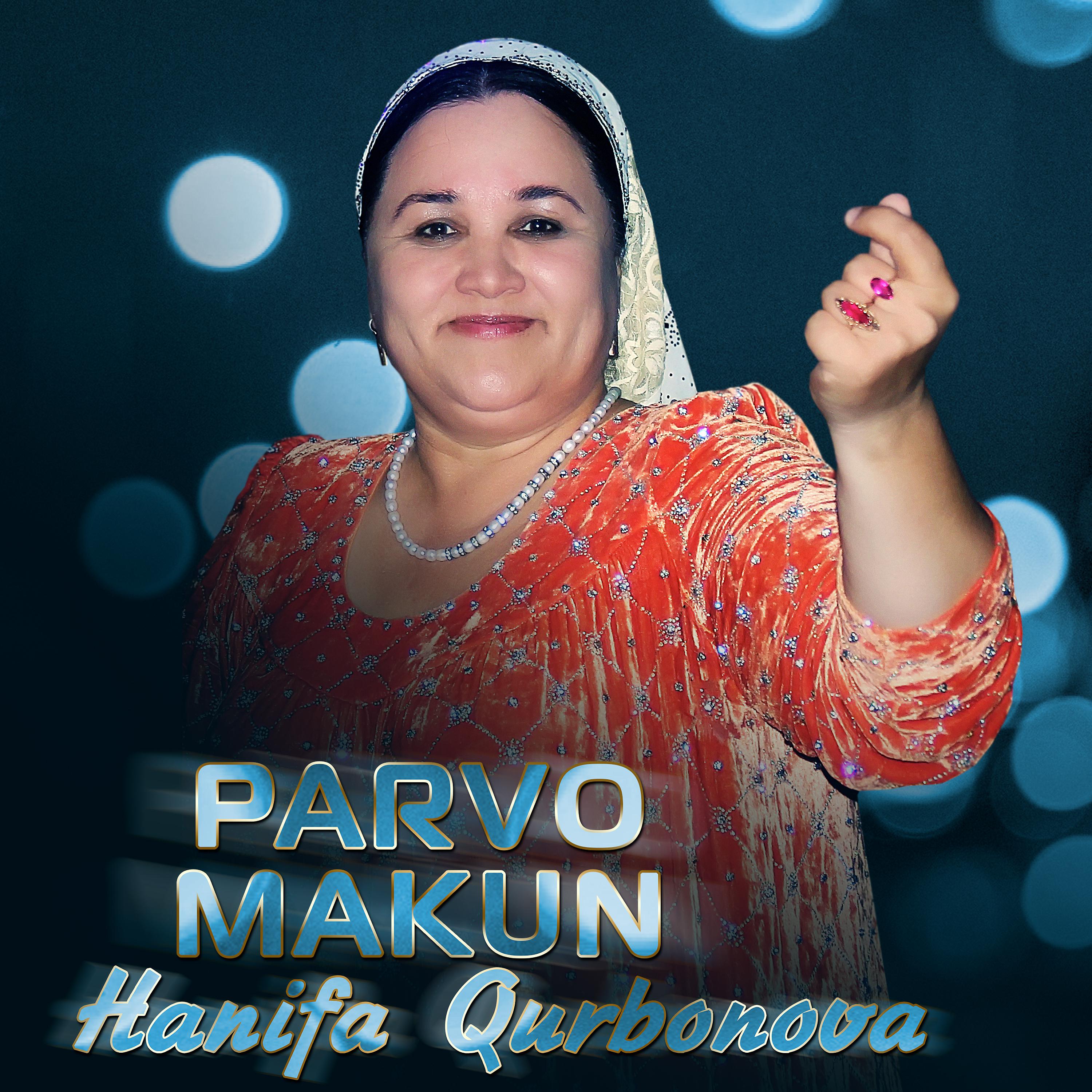 Постер альбома Parvo makun