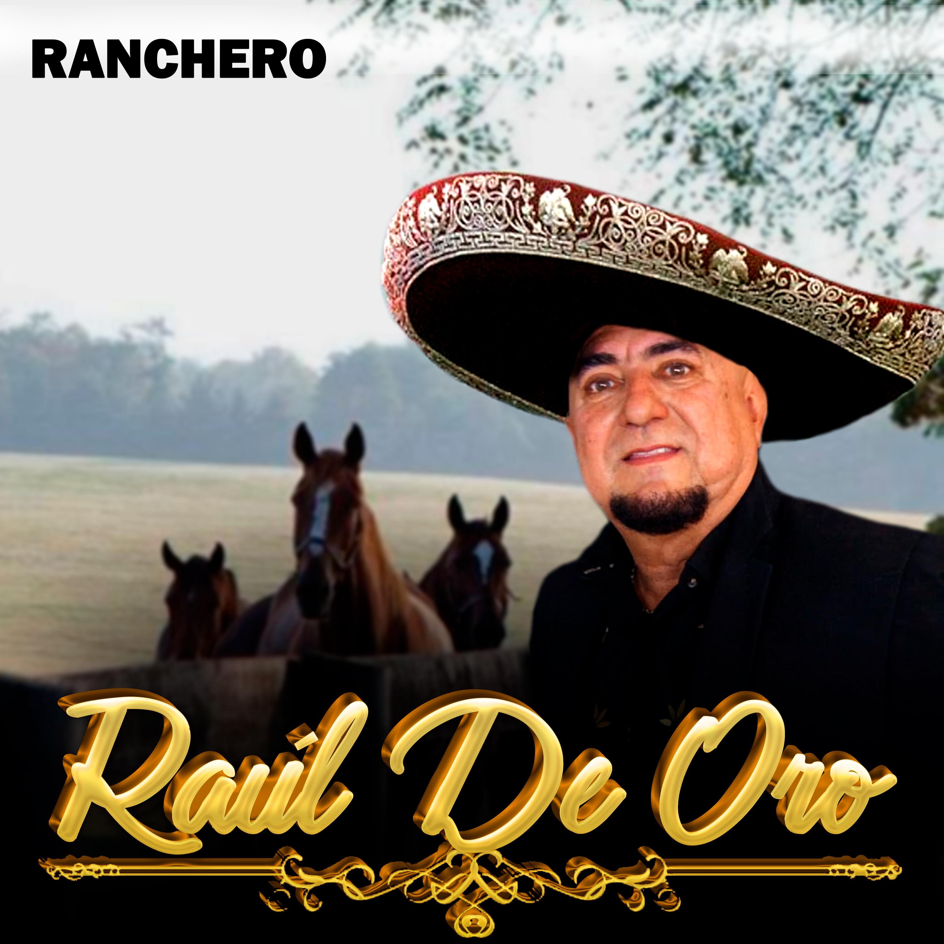 Постер альбома Raul de Oro · Ranchero