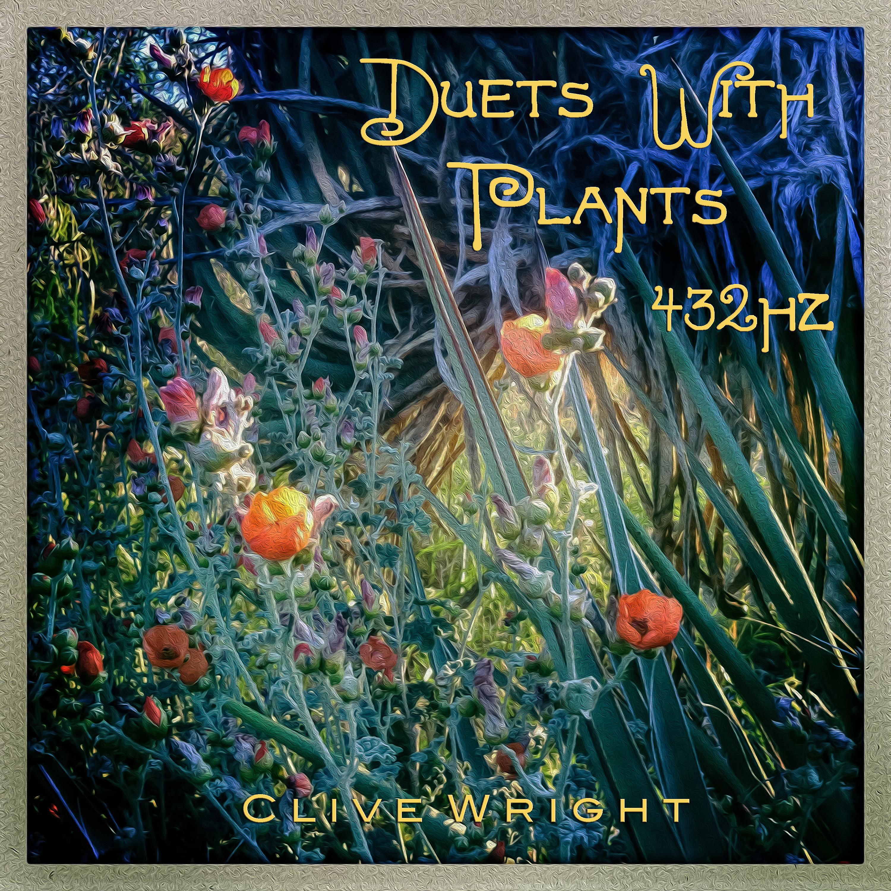 Постер альбома Duets with Plants