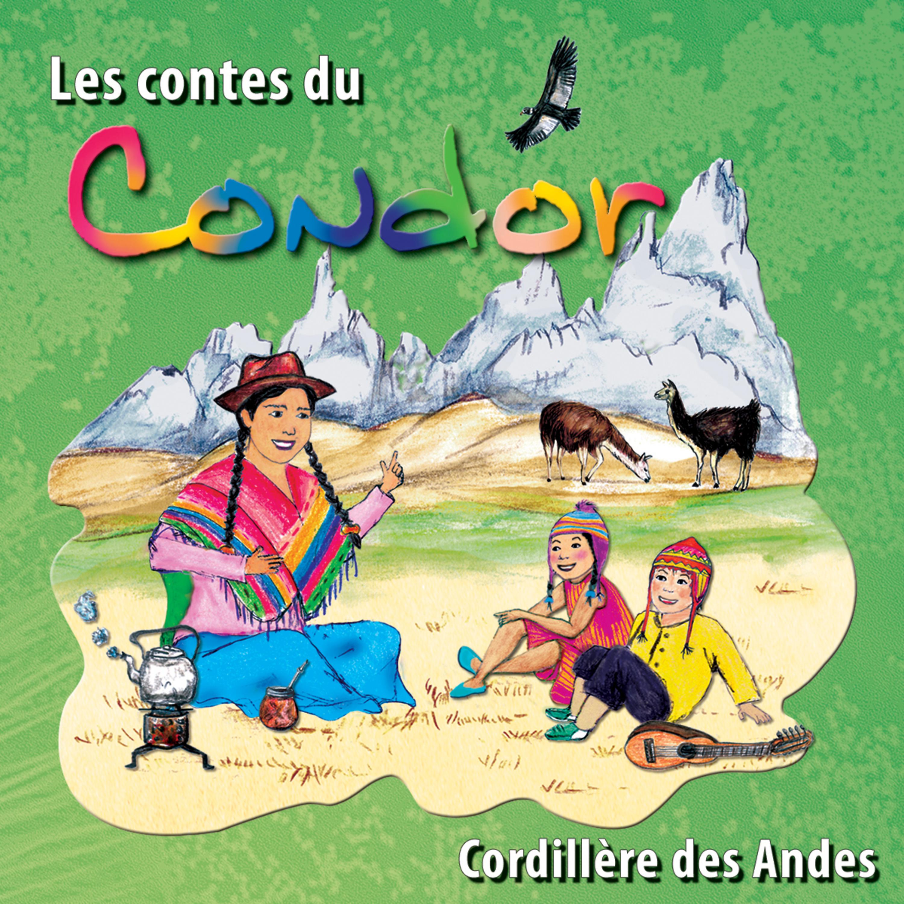 Постер альбома Les contes du Condor (Cordillère des Andes)