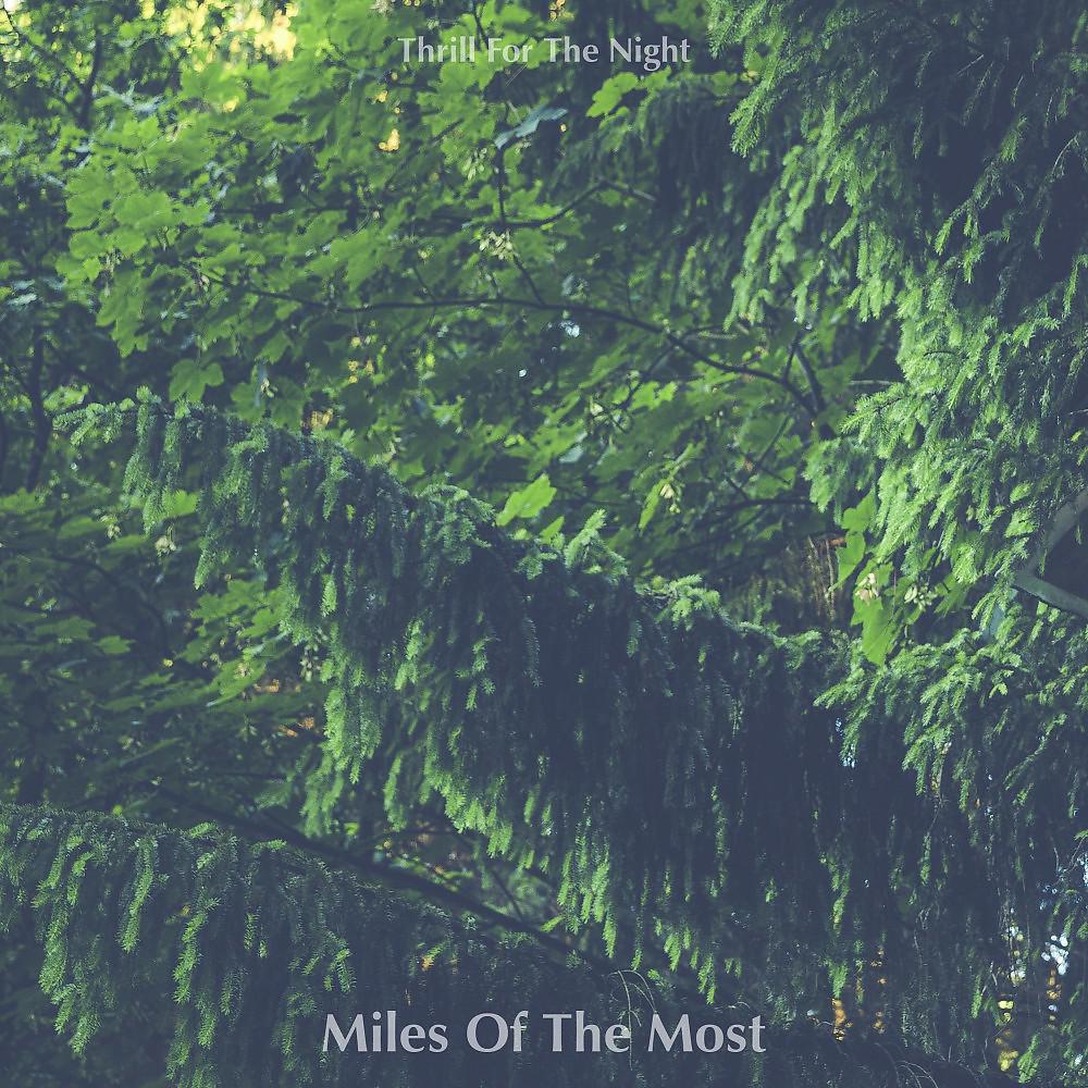 Постер альбома Miles of the Most