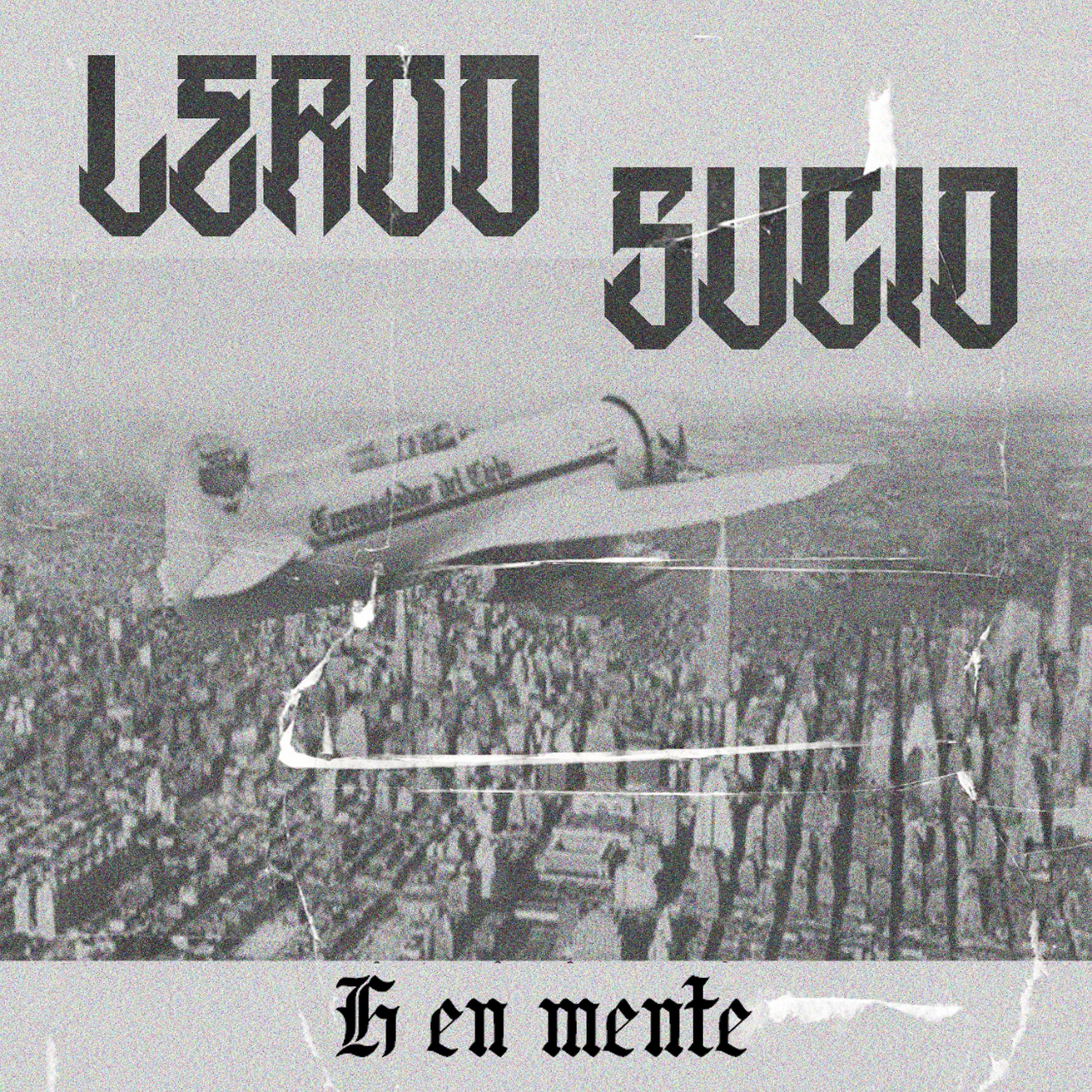 Постер альбома Lerdo Sucio