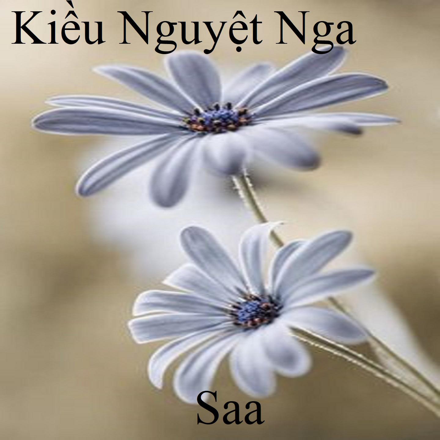 Постер альбома Kiều Nguyệt Nga