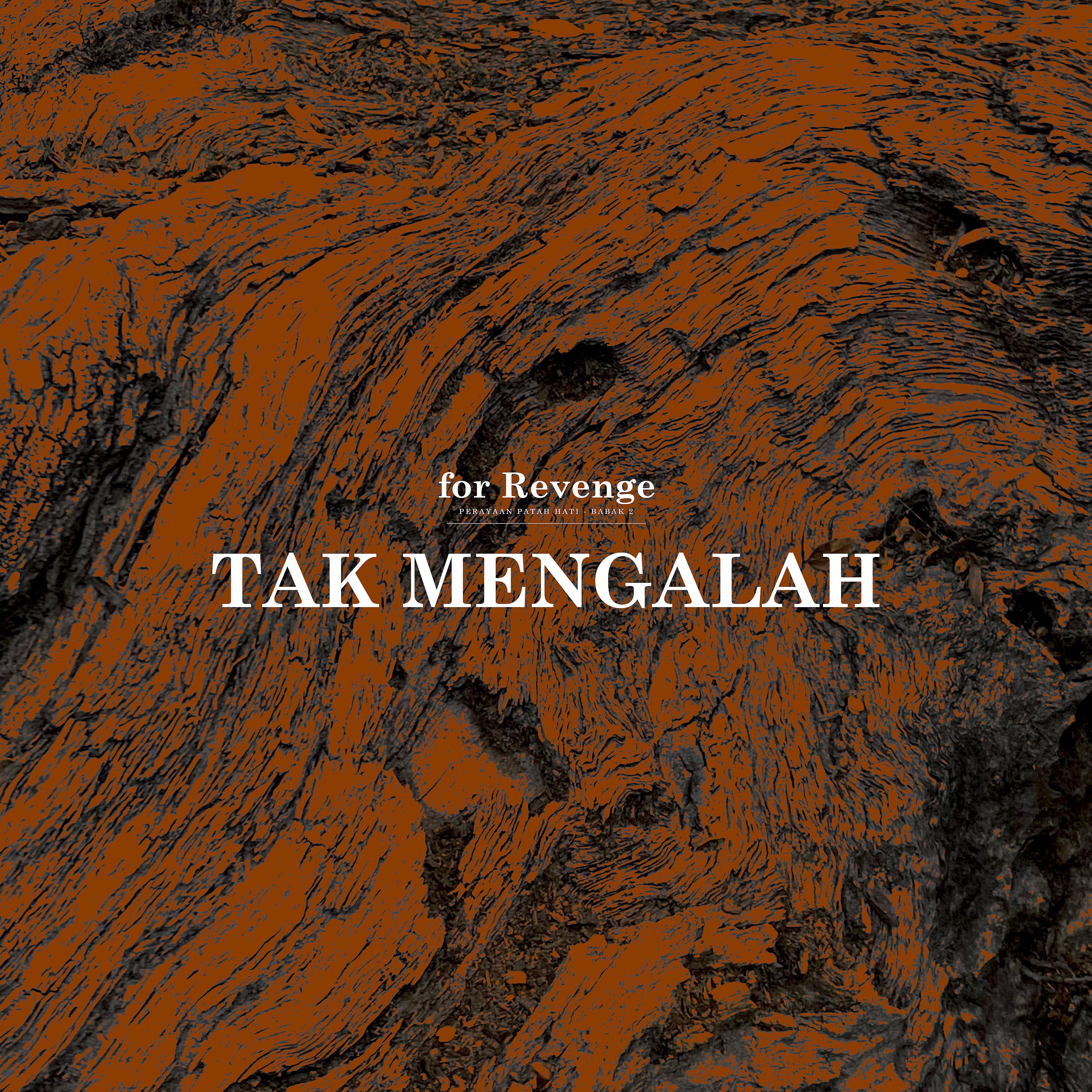 Постер альбома Tak Mengalah