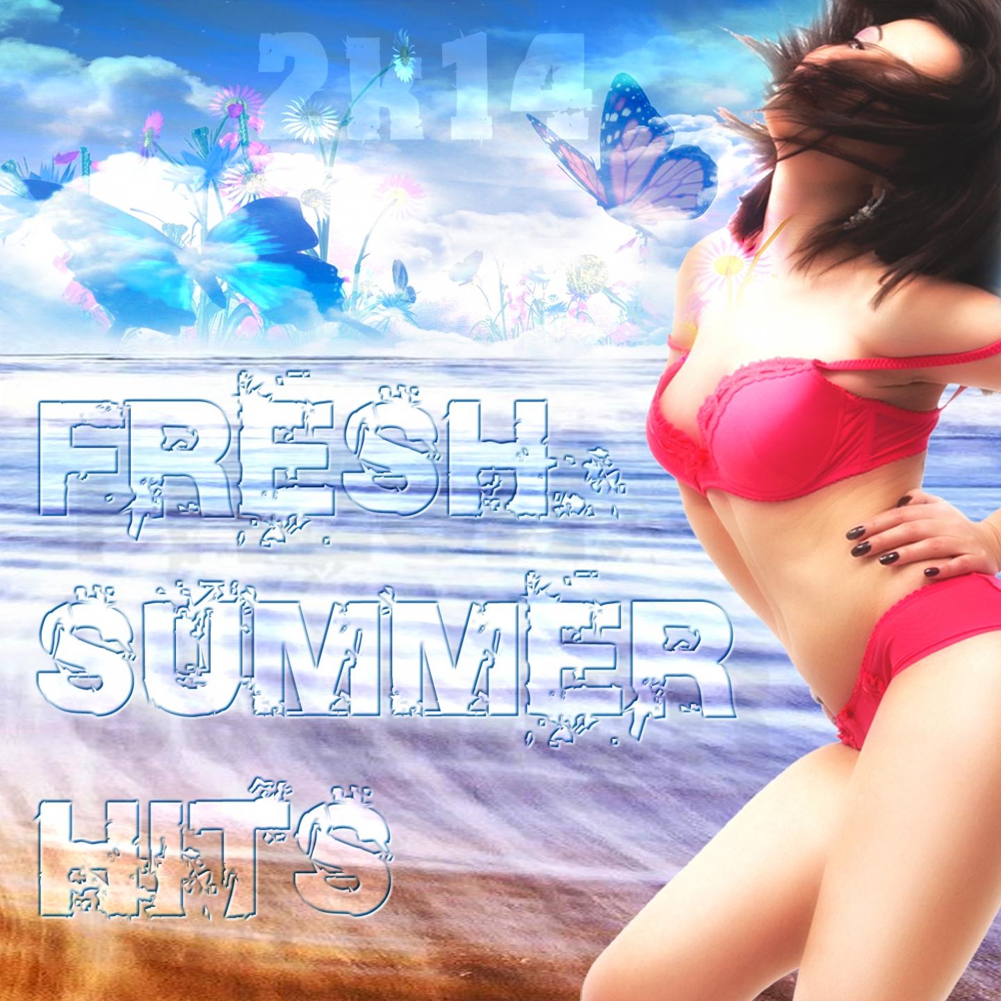 Постер альбома Fresh Summer Hits 2k14