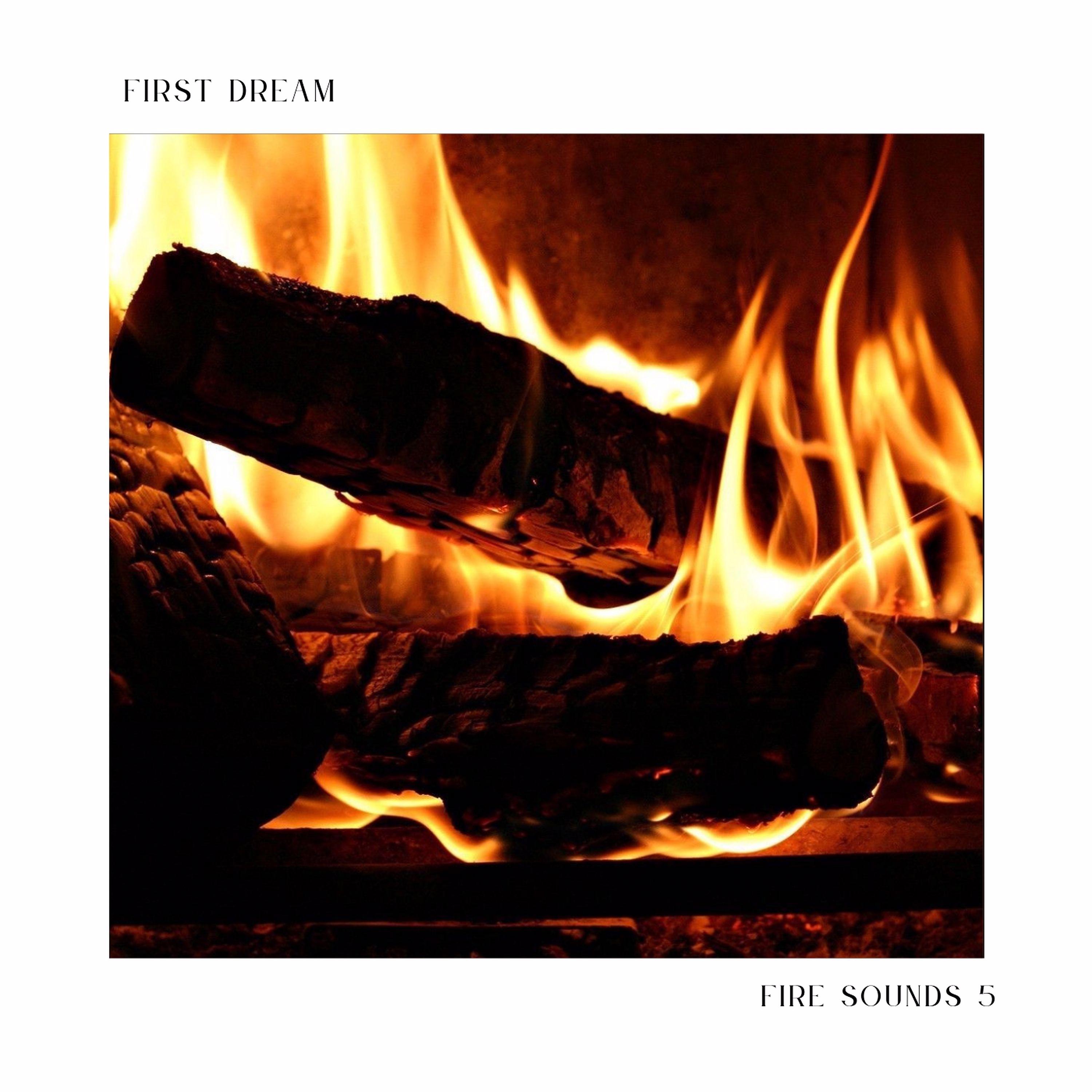 Постер альбома Fire Sounds 5