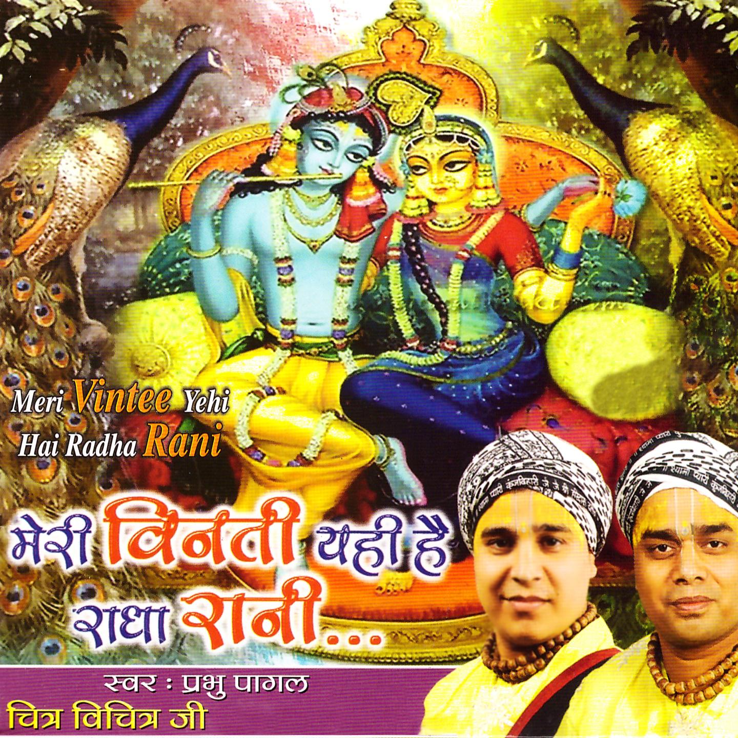 Постер альбома Meri Vintee Yehi Hai Radha Rani