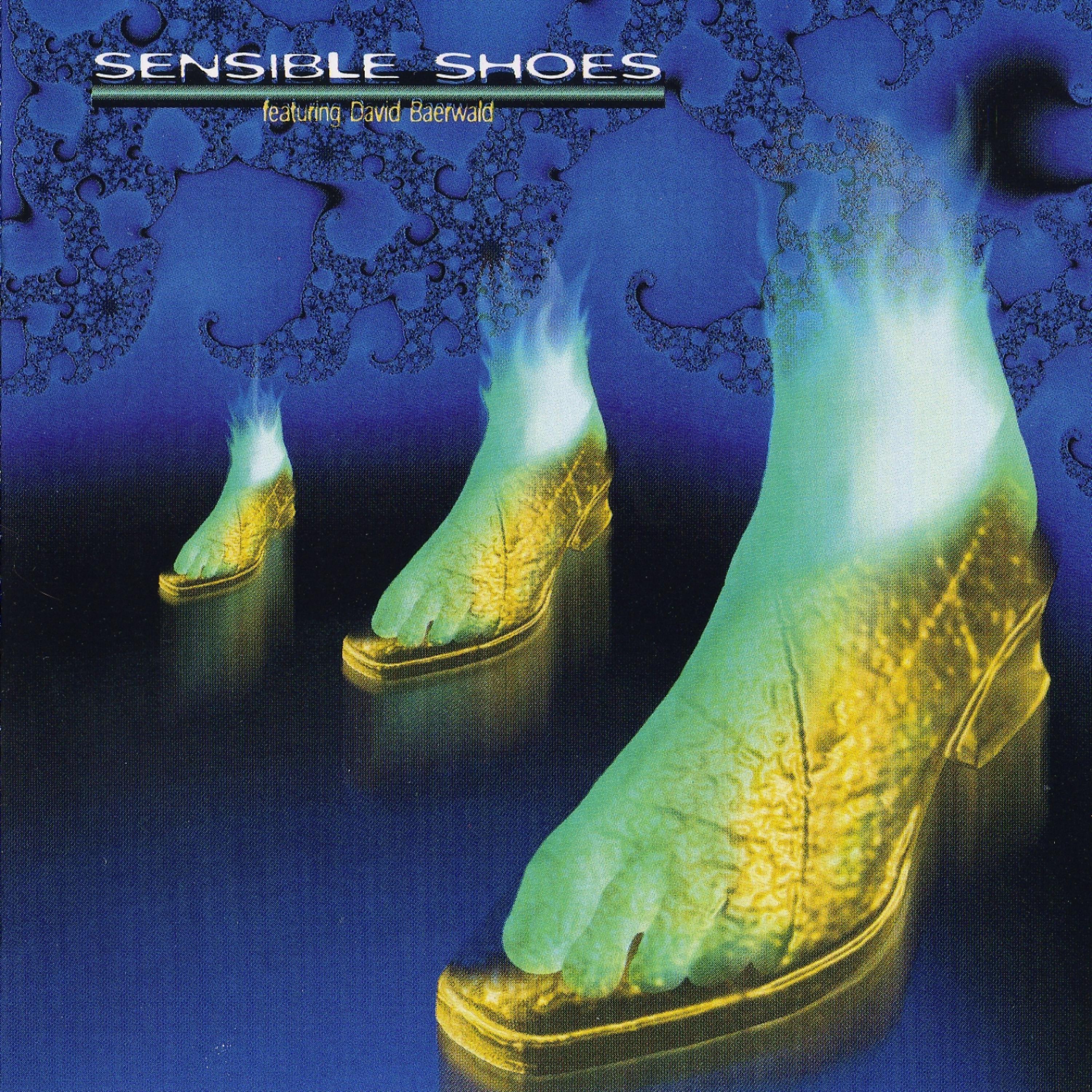 Постер альбома Sensible Shoes