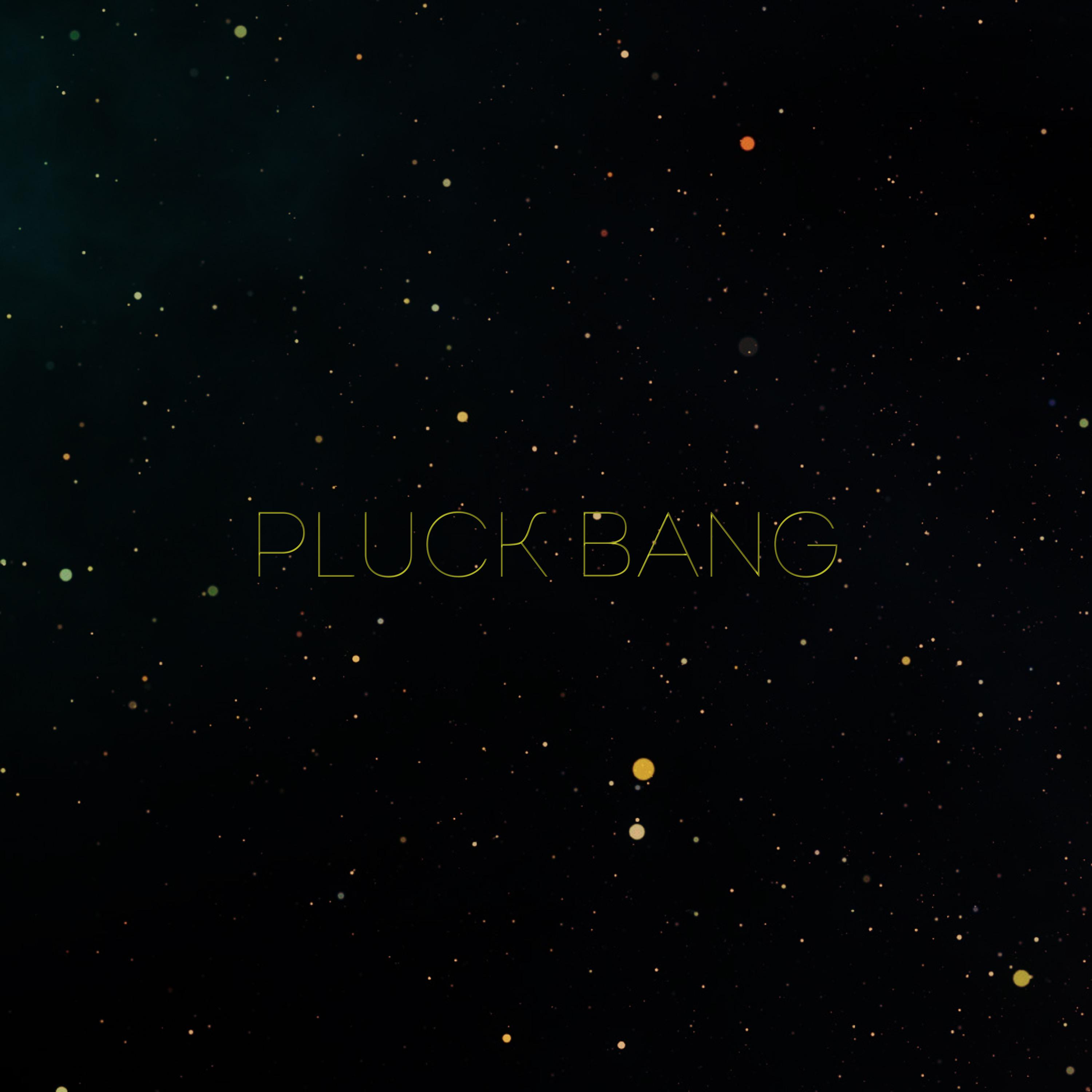 Постер альбома Pluck bang