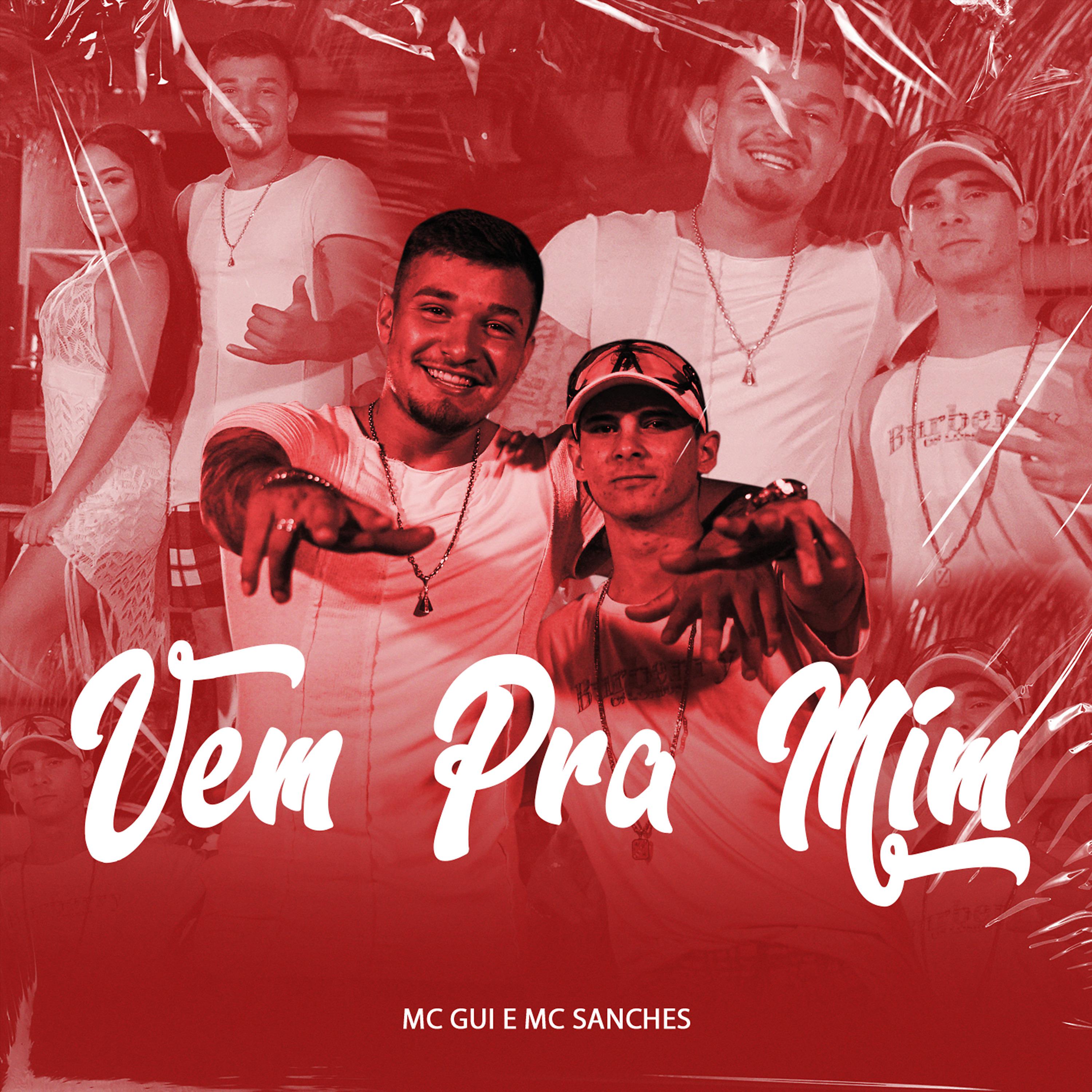 Постер альбома Vem pra Mim