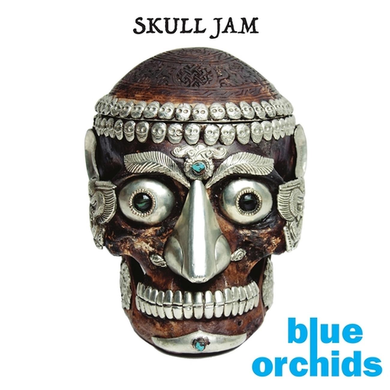 Постер альбома Skull Jam