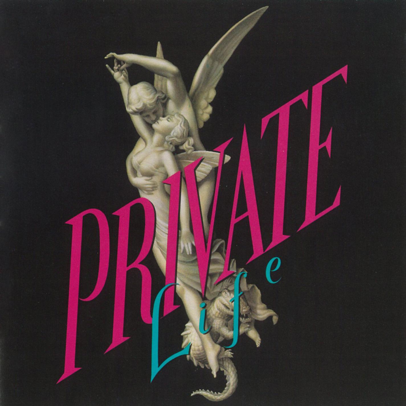 Постер альбома Private Life