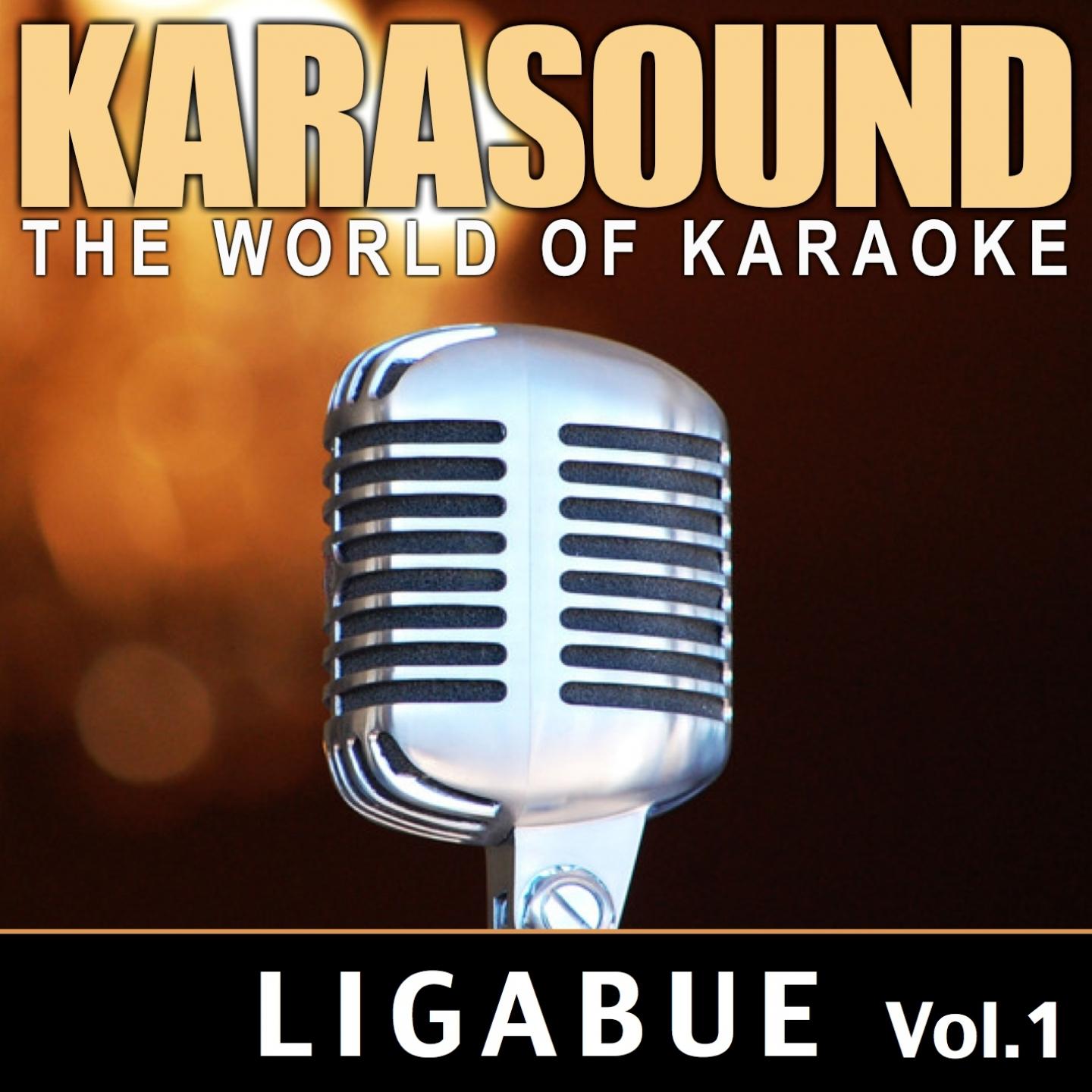 Постер альбома The World of Karaoke: Luciano Ligabue, Vol. 1