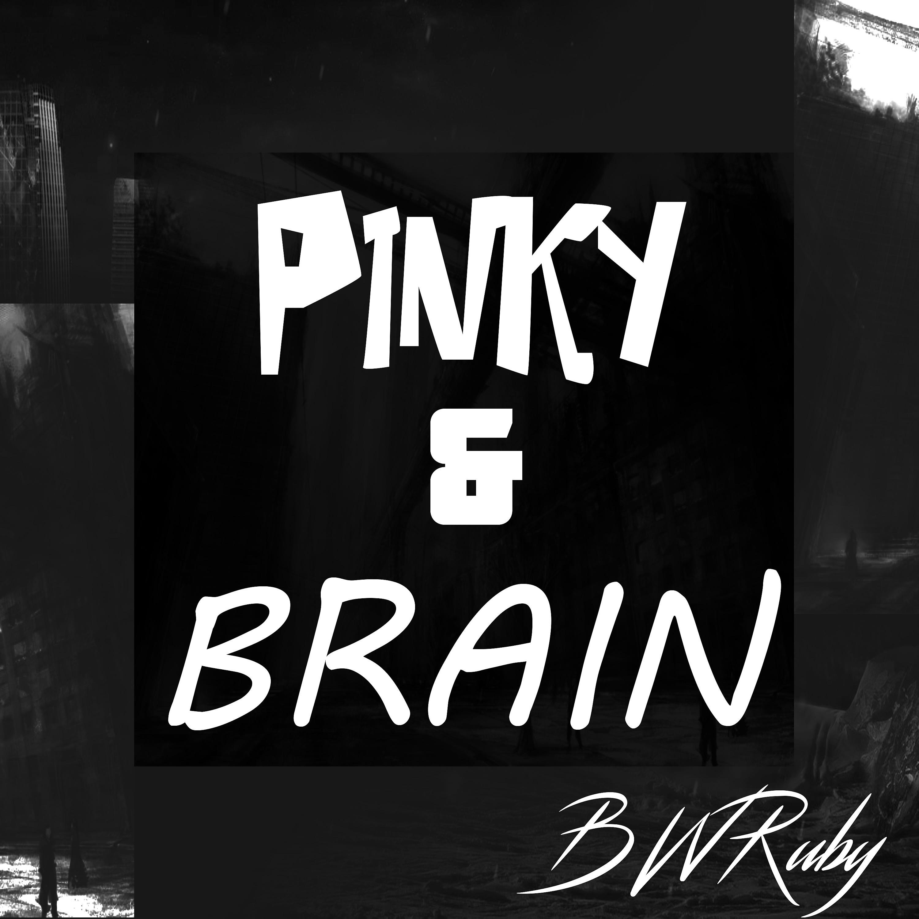 Постер альбома Pinky Brain