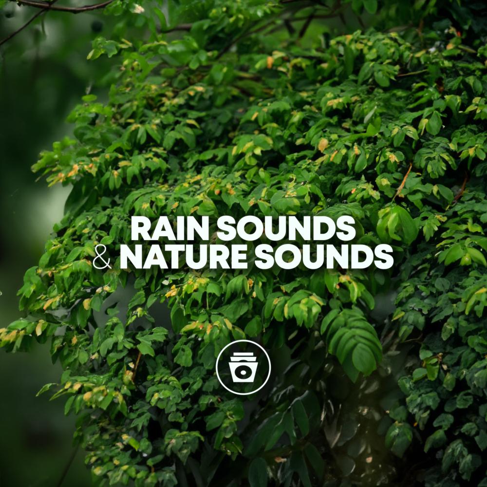 Постер альбома Rain Sounds & Nature Sounds