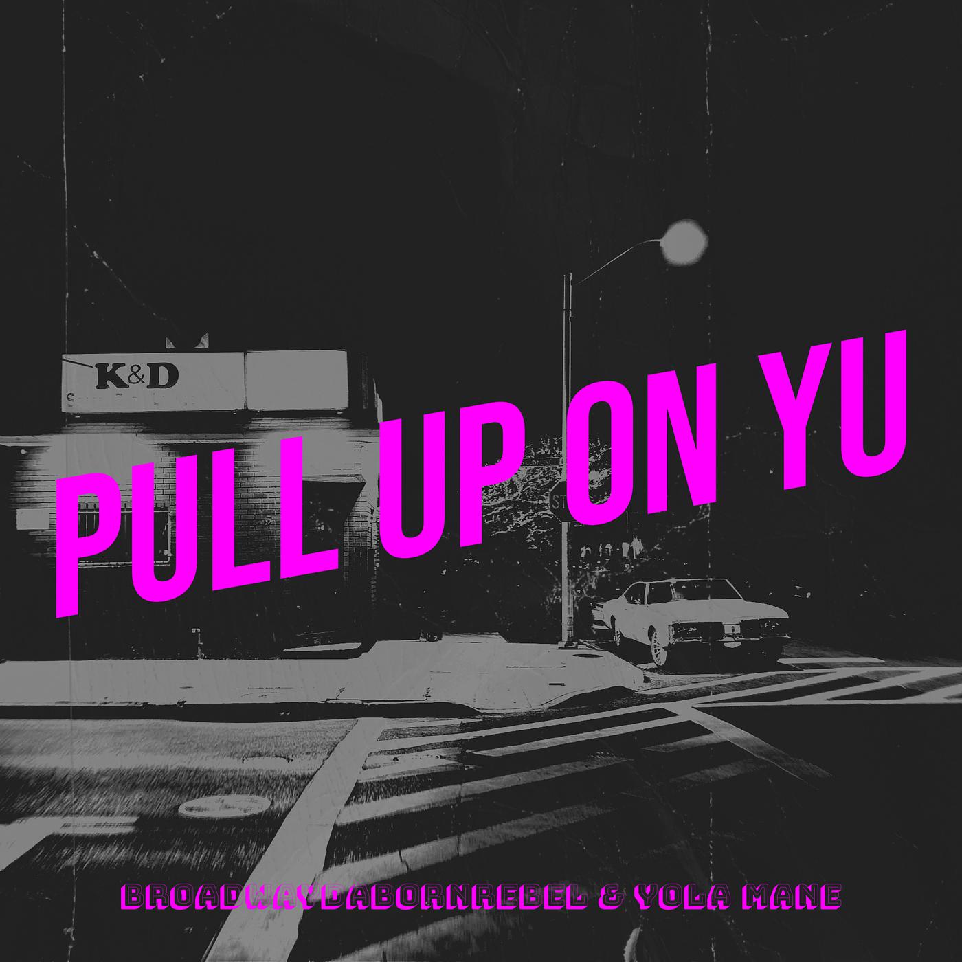 Постер альбома Pull up on Yu