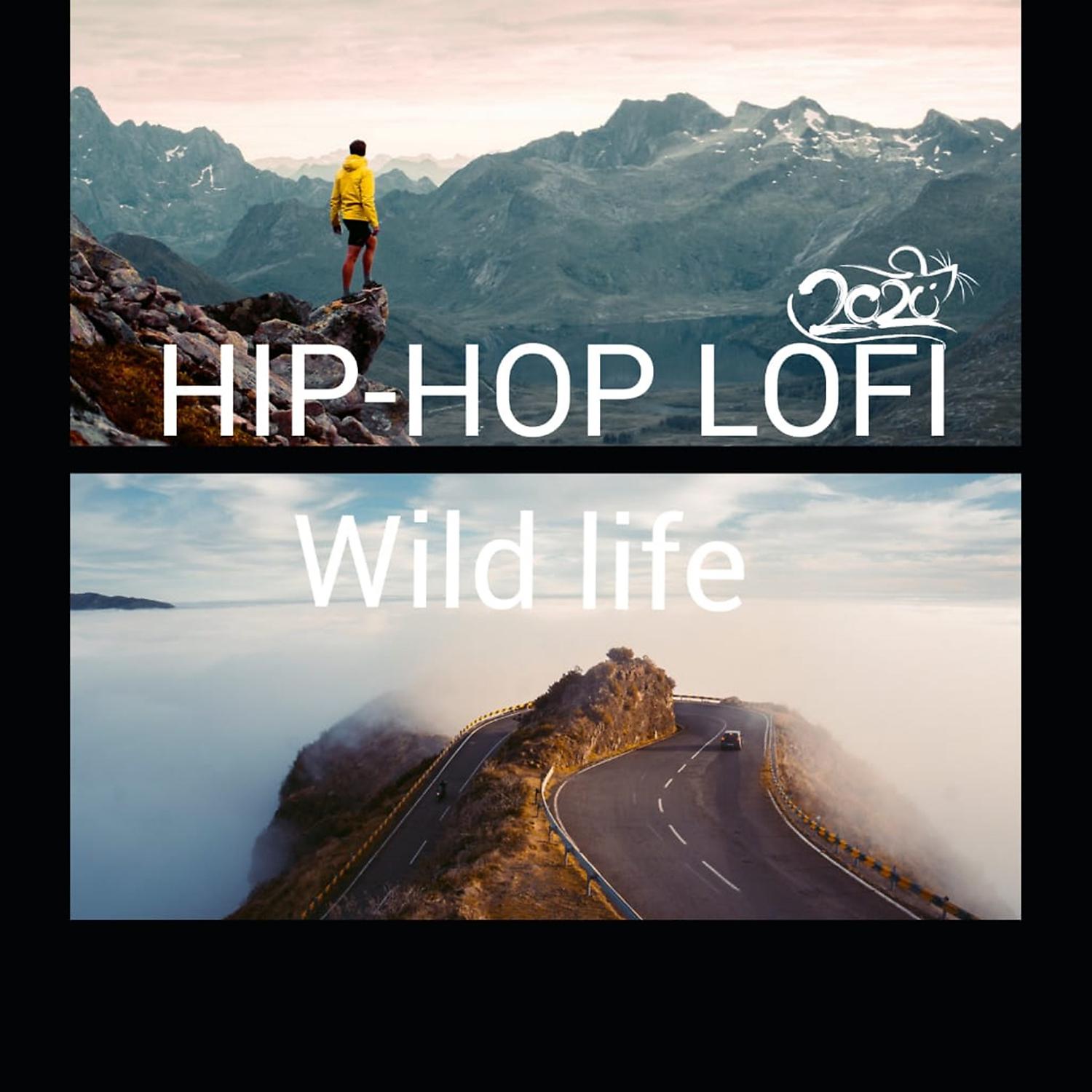 Постер альбома WILD LIFE (Rap instrumental) (feat. Lofi Beats Danny)