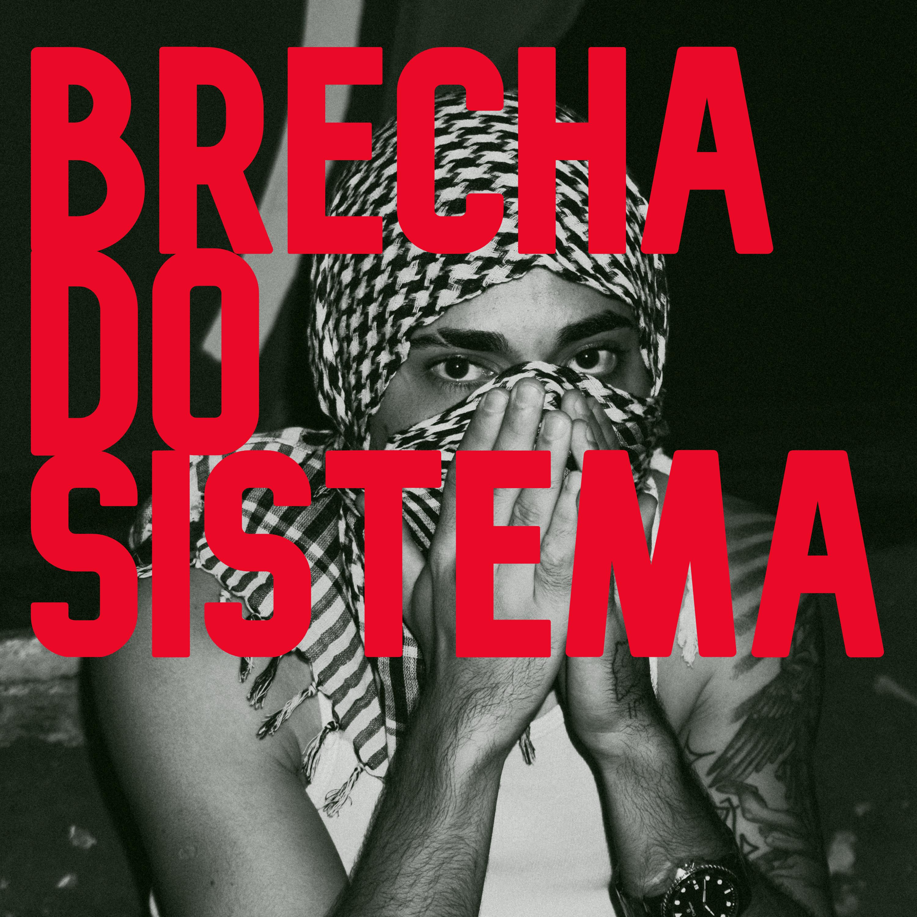 Постер альбома Brecha do Sistema