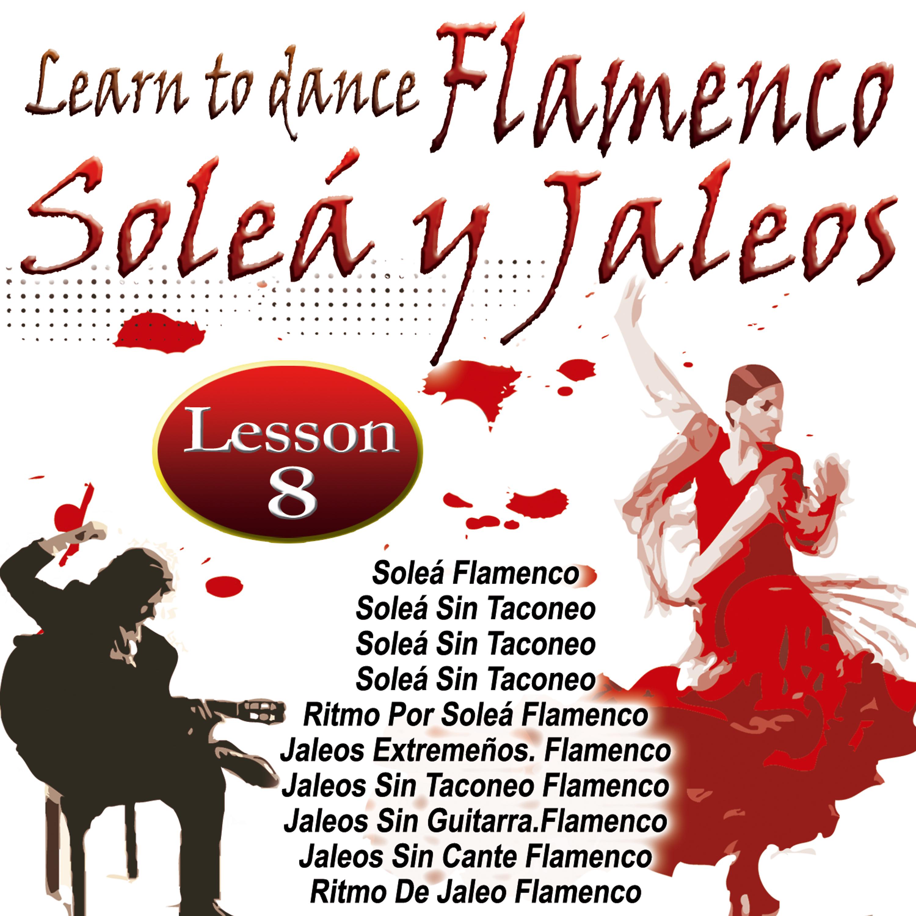 Постер альбома Learn To Dance Flamenco-Soleá Y Jaleos