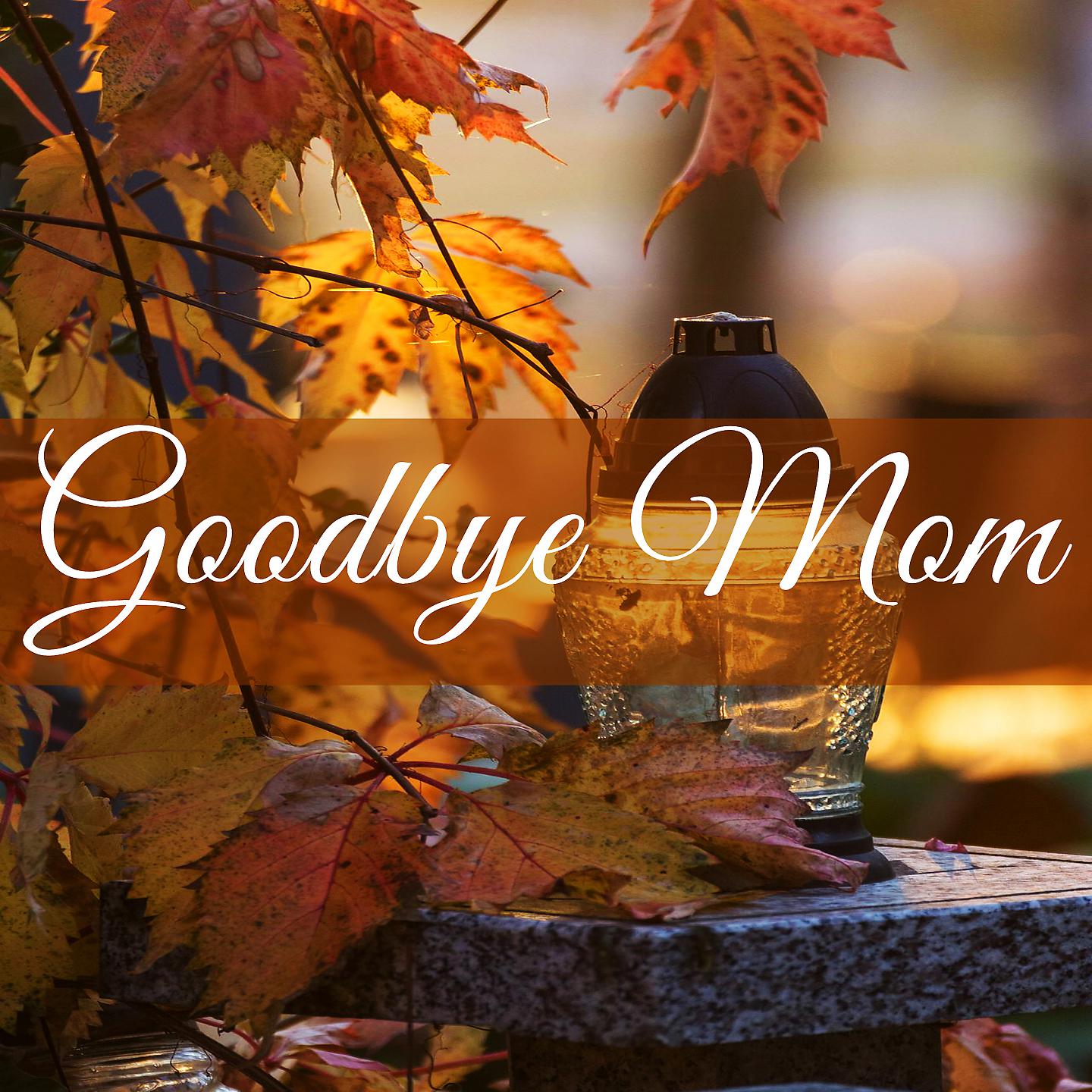 Постер альбома Goodbye Mom