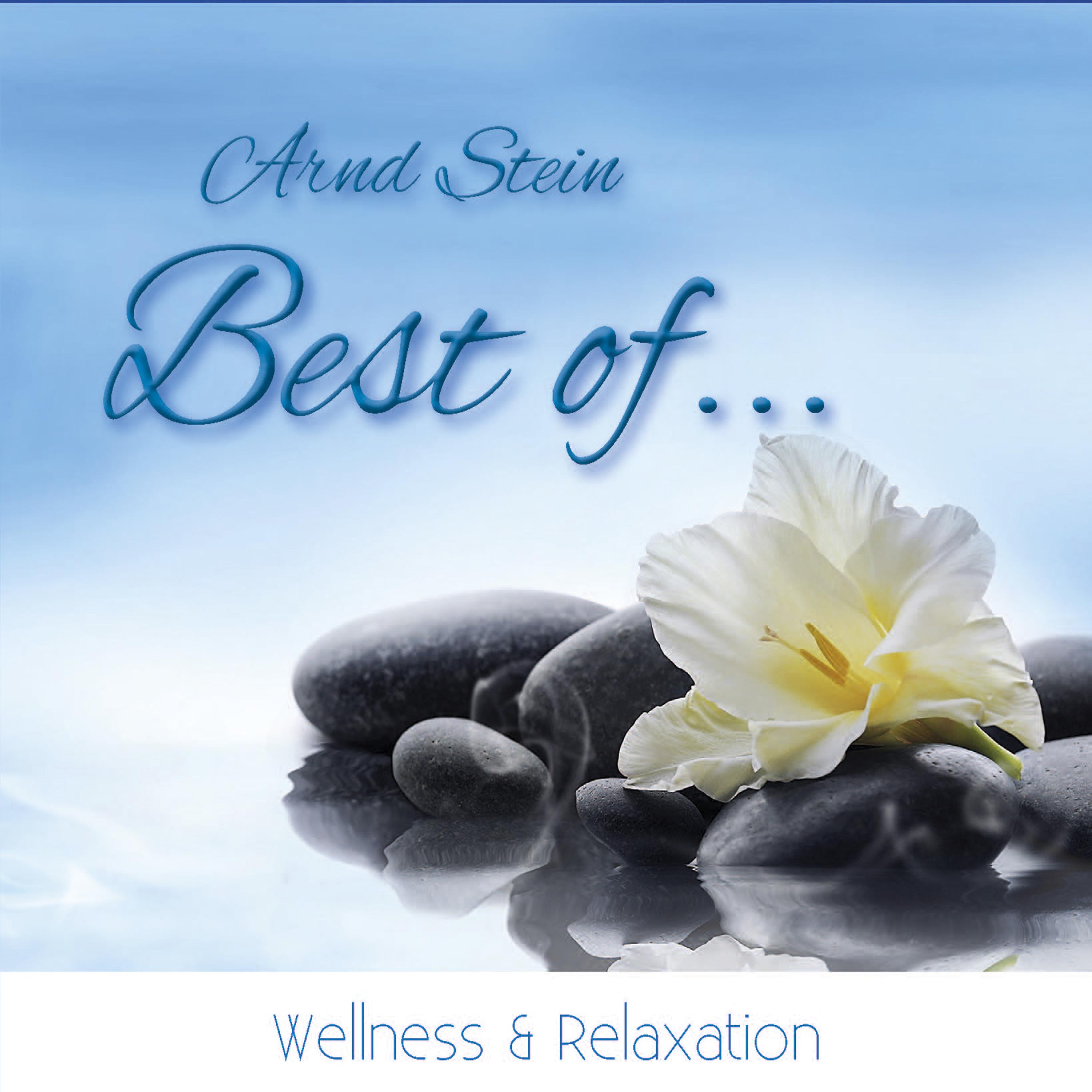 Постер альбома Best of Wellness & Relaxation
